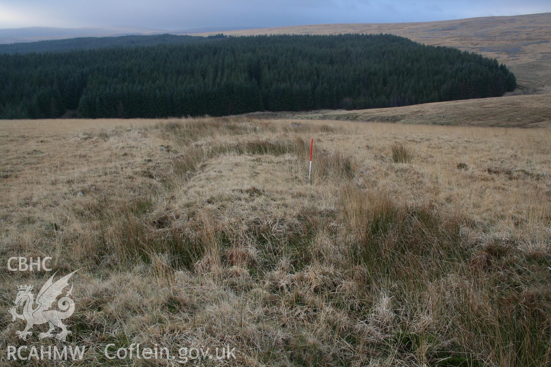 Mound seen from the south-east; 1m scale.