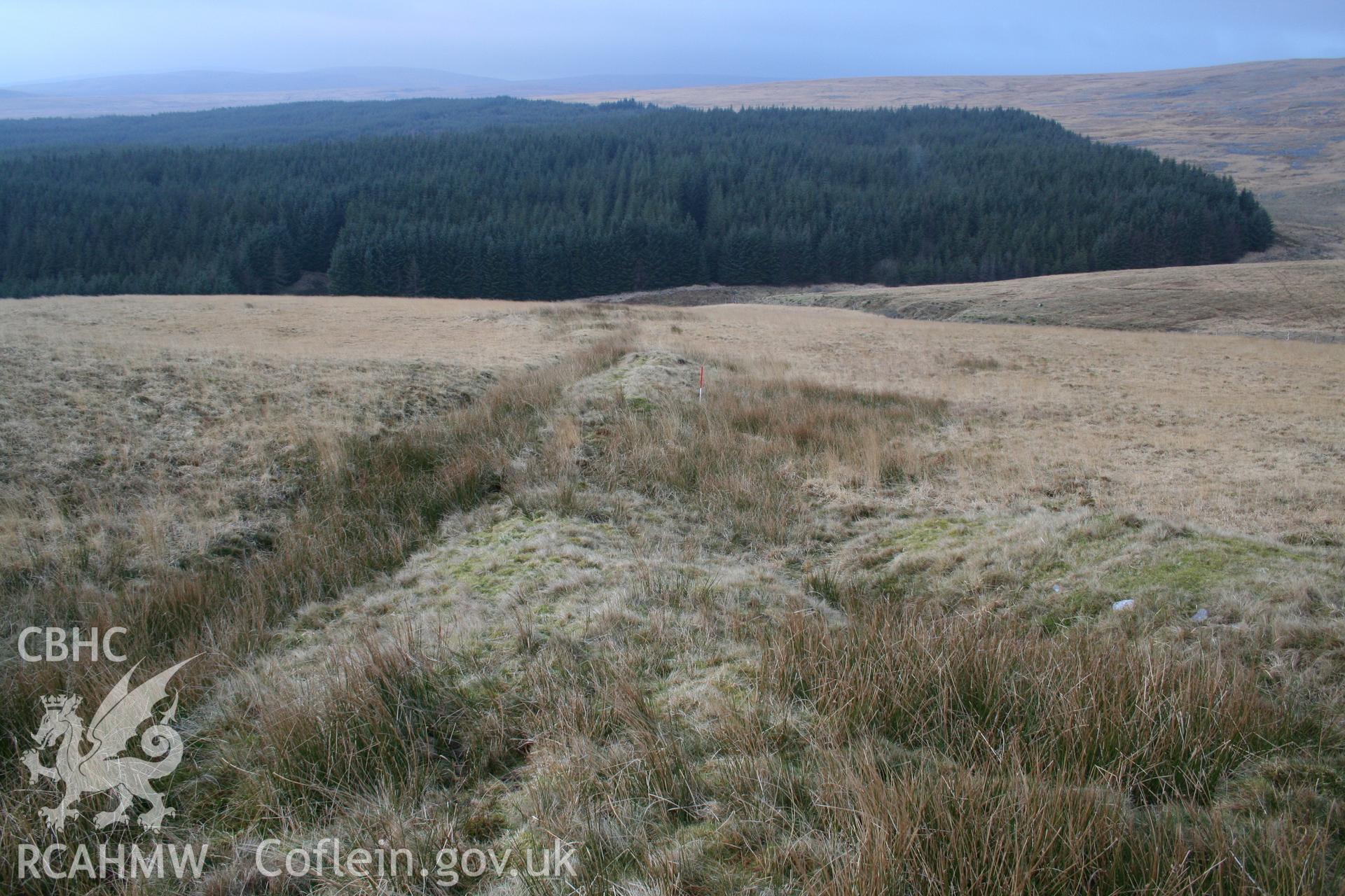 Mound seen from the south-east; 1m scale.
