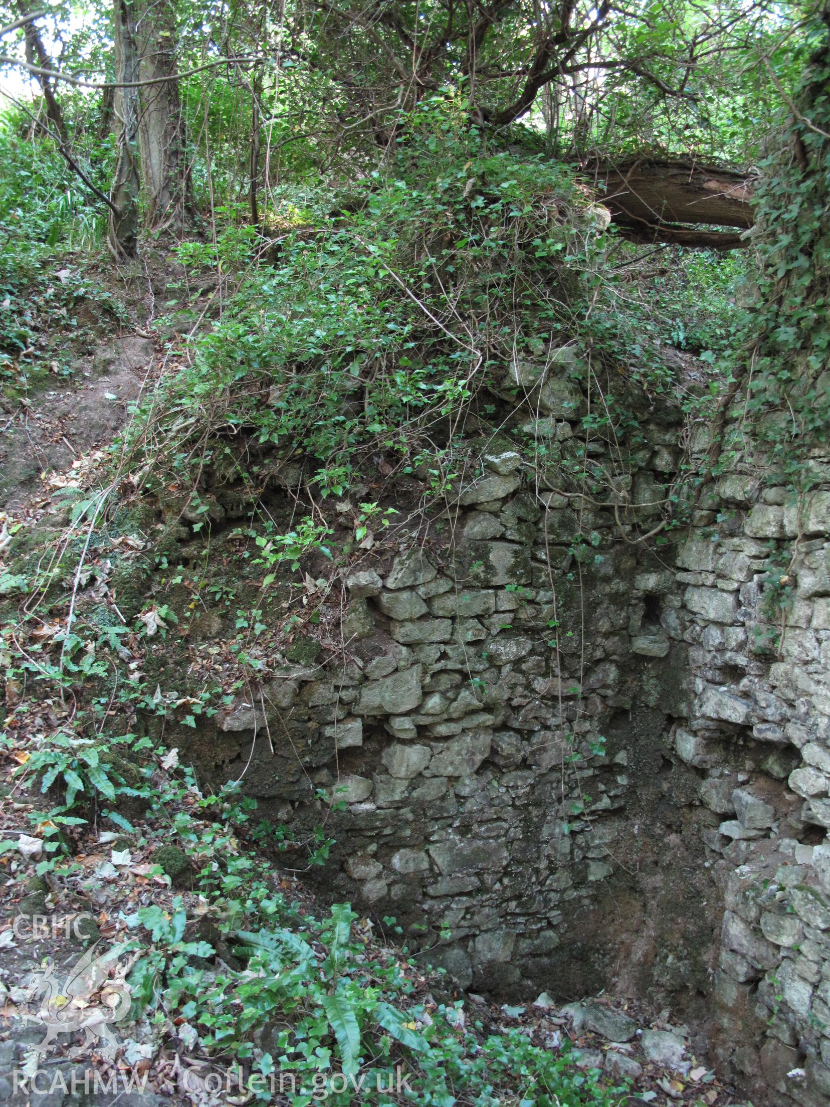 Waterwheel pit, Blaen-y-cwm Corn Mill, taken by Brian Malaws on 20 October 2010.