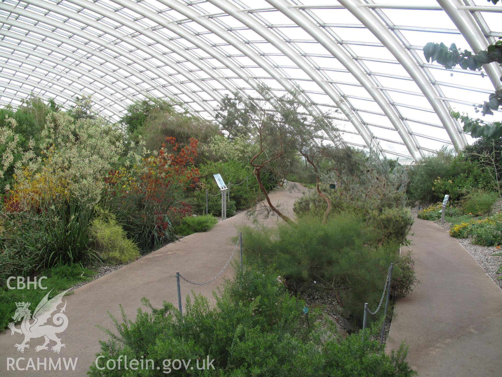 Interior view of the Great Glasshouse, National Botanic Garden of Wales.