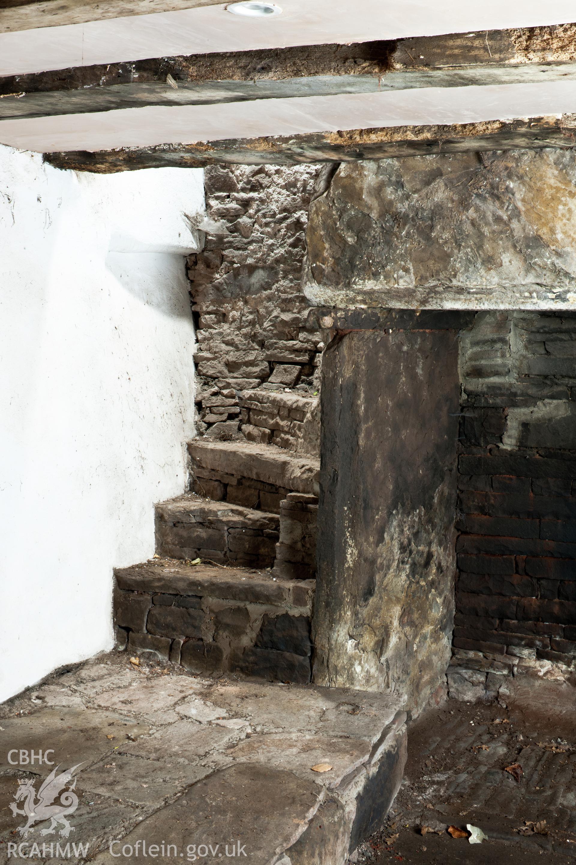 Interior, Hall, mural stair.  Little Llwygy, Iain Wright 12/01/2012.