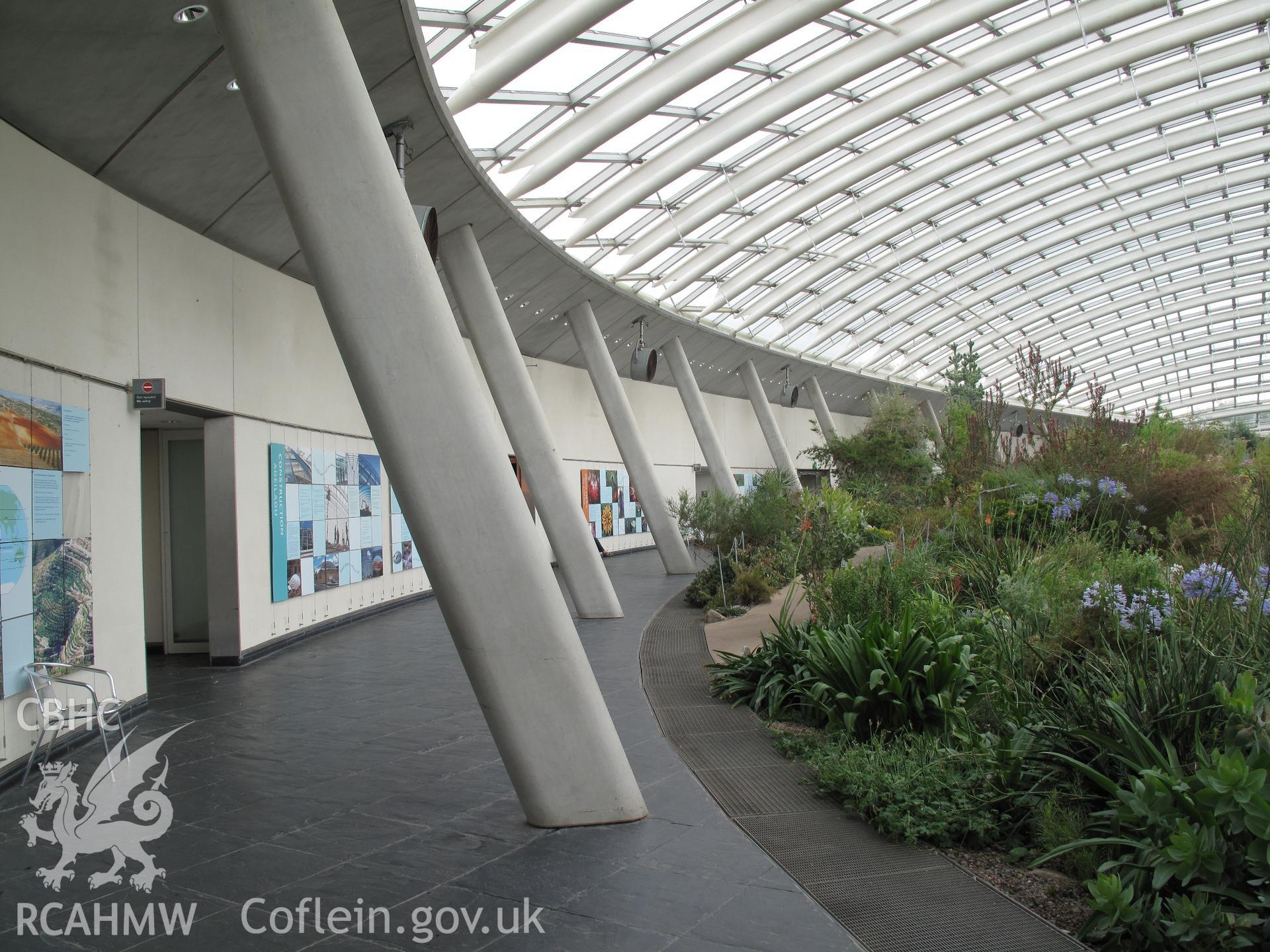 Interior view of the Great Glasshouse, National Botanic Garden of Wales.