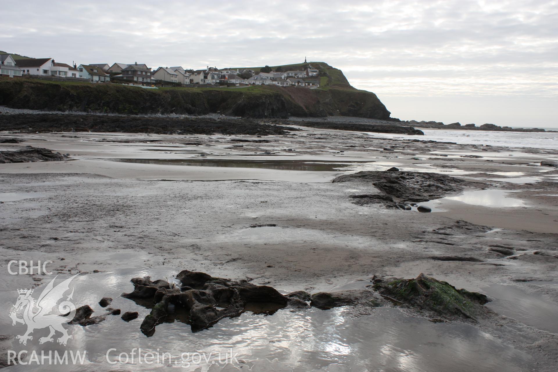 Borth submerged forest (between RNLI lifeboat station and upper Borth), looking south  towards Clarach.  Showing remains within peat deposit