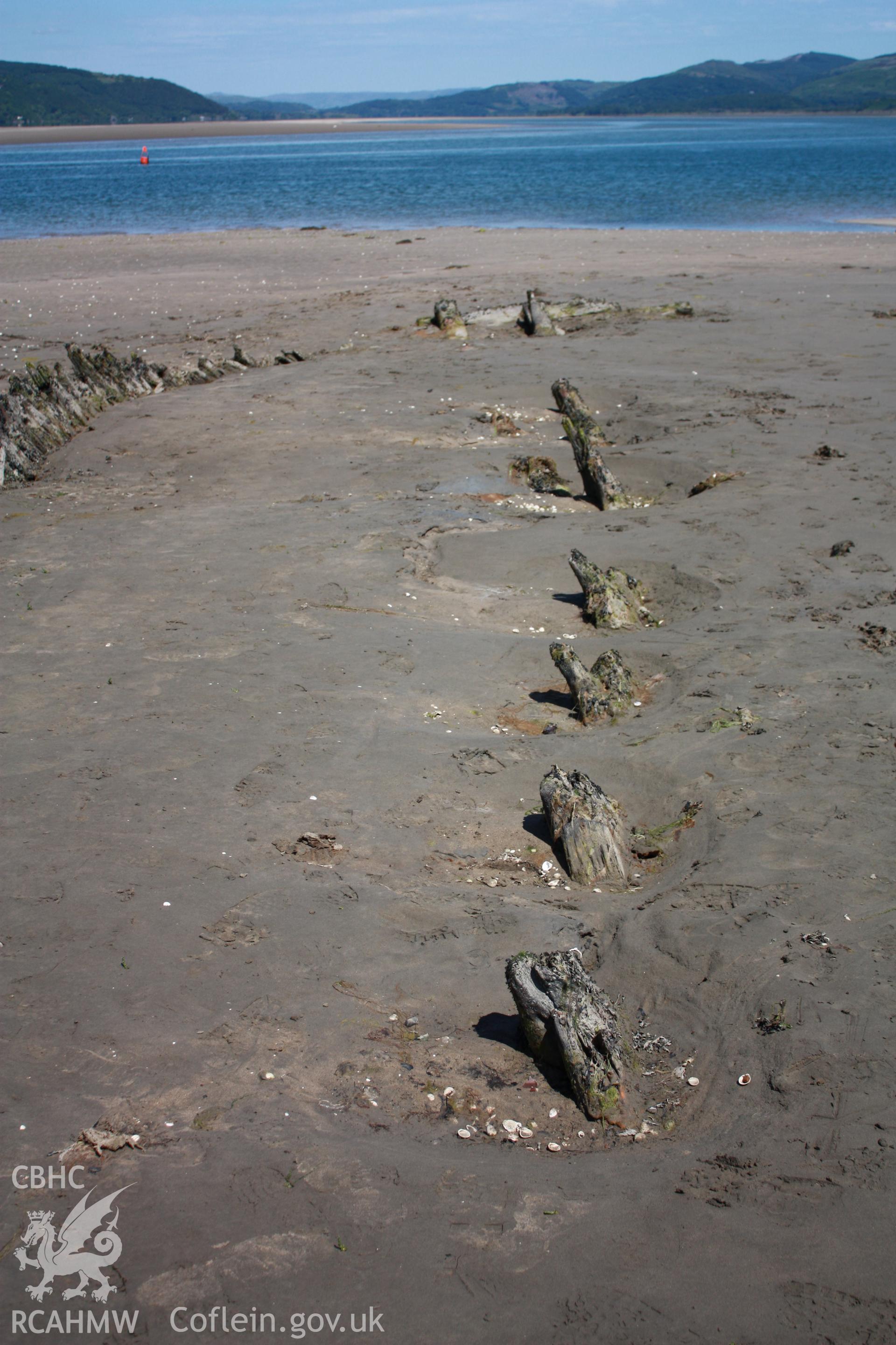 General view of deck beams and ends of lodging knees looking east (post survey and timber cleaning).