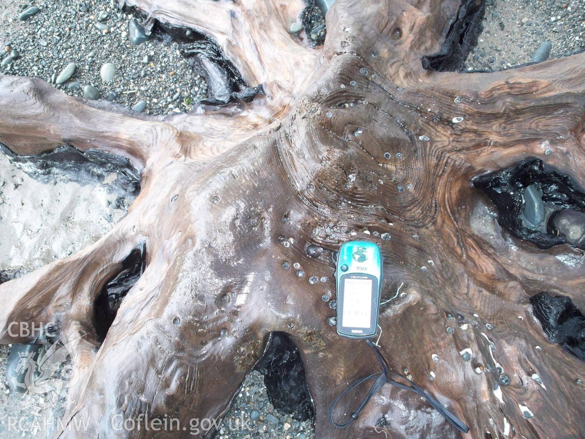 Hand held GPS unit (Garmin Etrex) used to locate centre of tree trunks (utilising waypoint function)