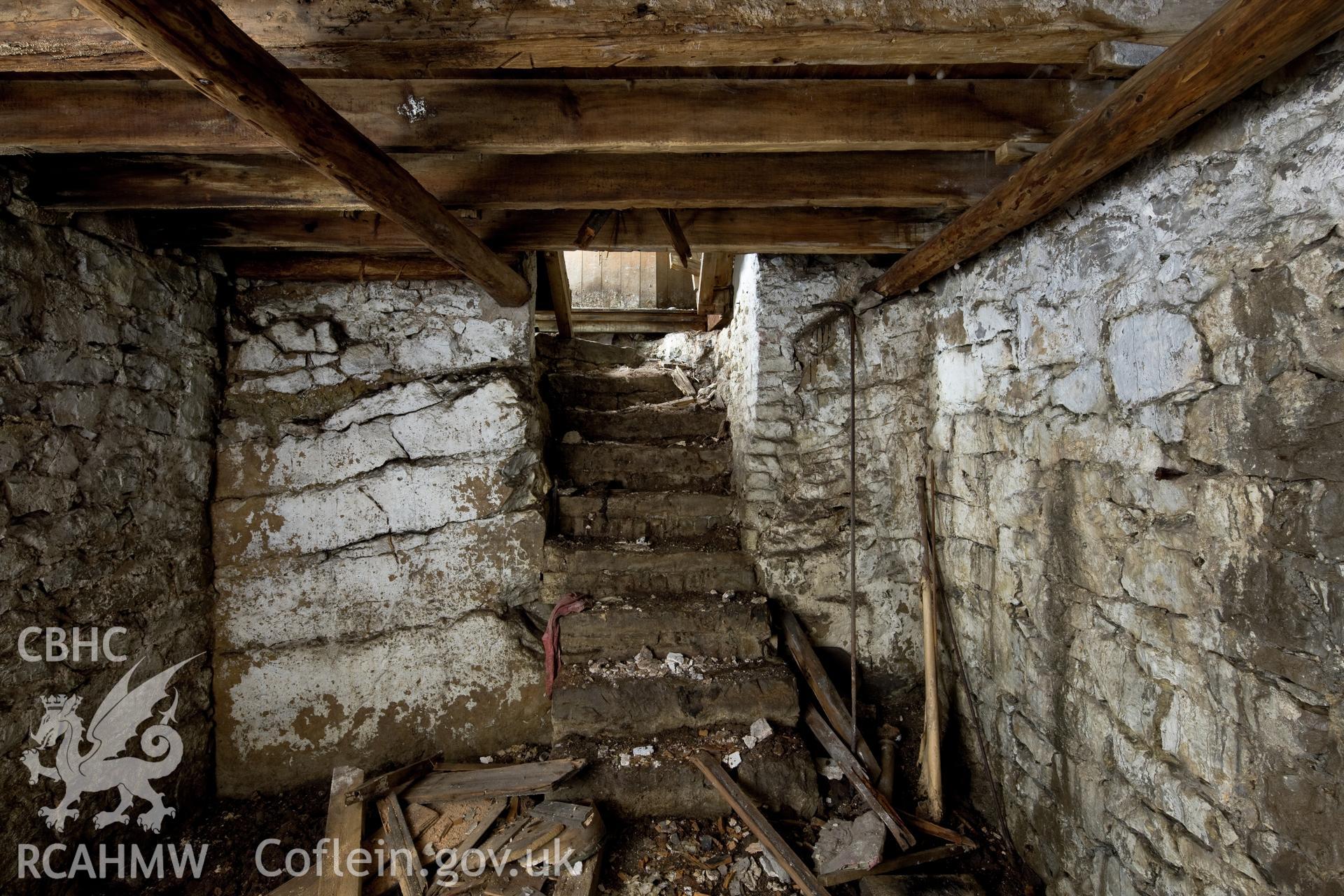 Cellar.