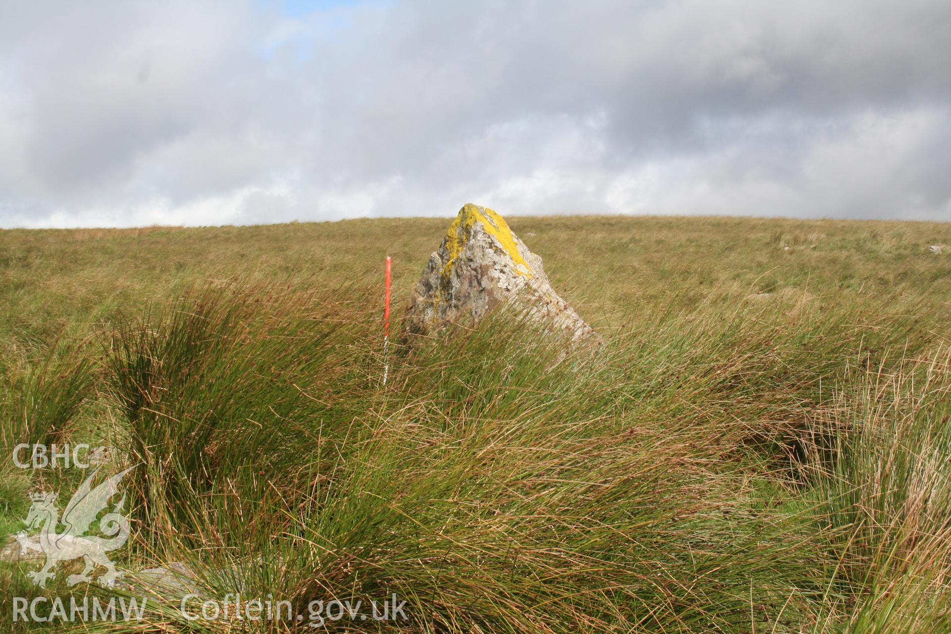 Stone viewd from the south; 1m scale.