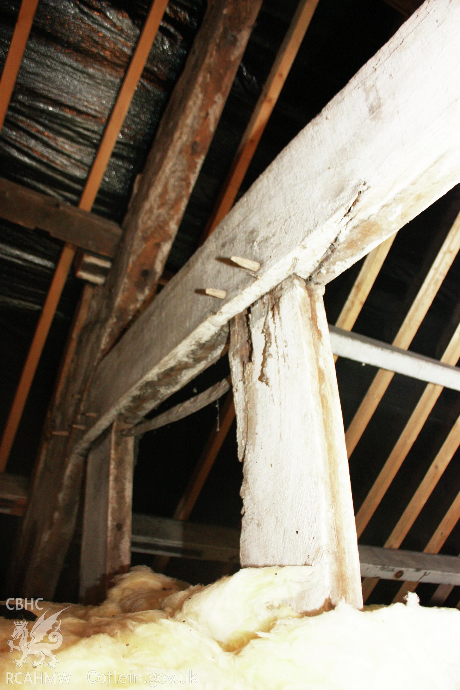 Interior, attic showing roof trusses.