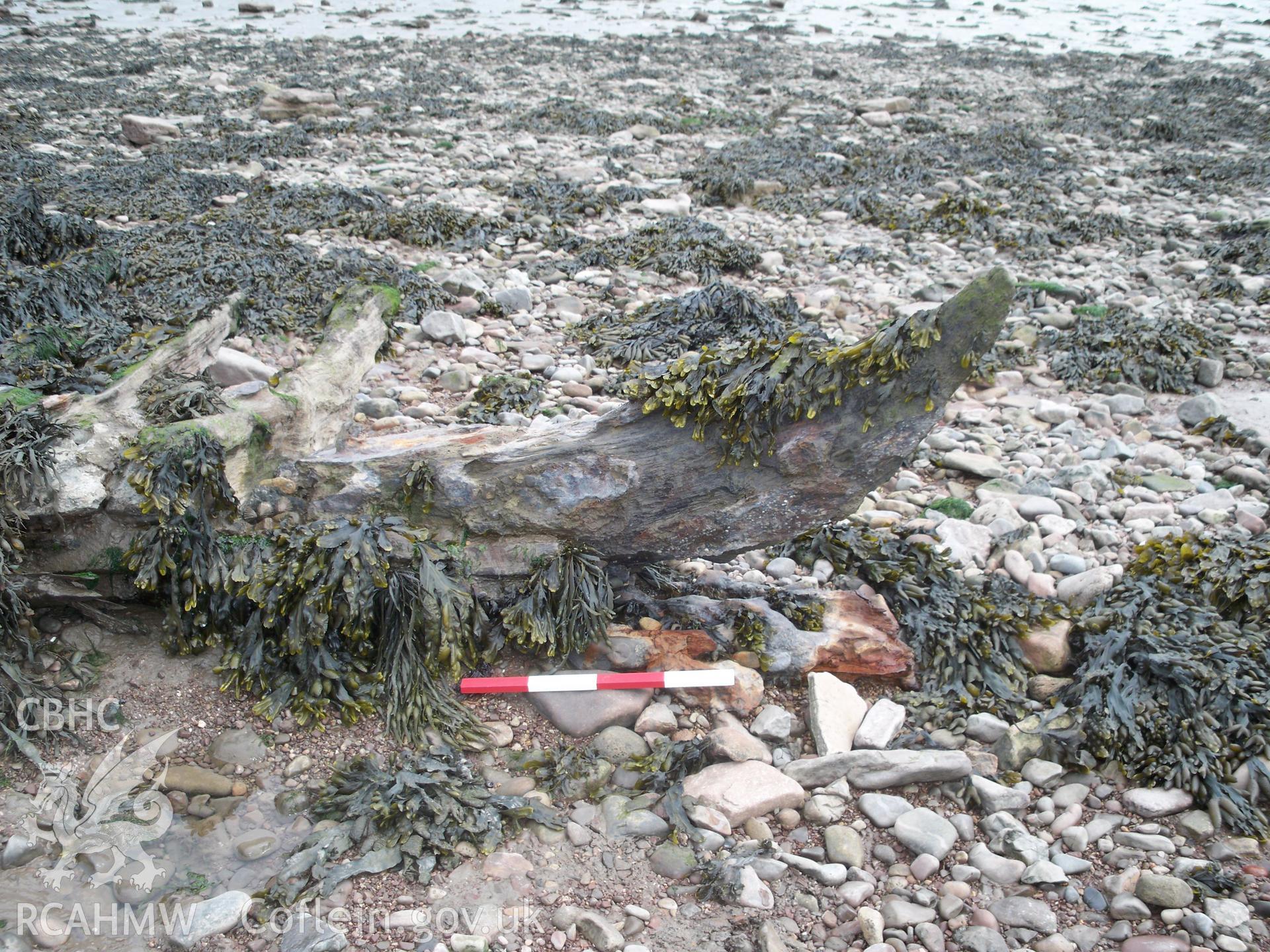 Curved forefoot of the inner stempost/keel at the bow (viewed from starboard side) - outer stempost missing