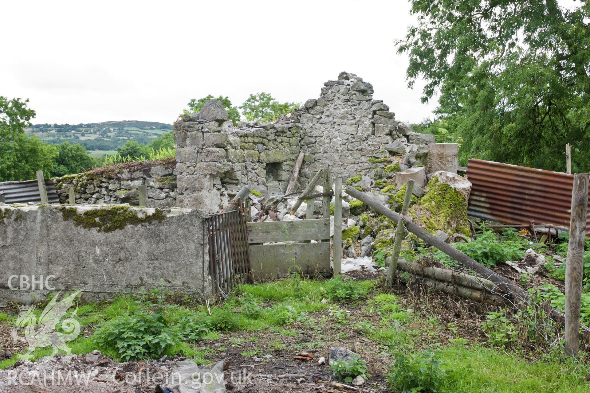 Ty bach, and sheep "funnel" walls.
