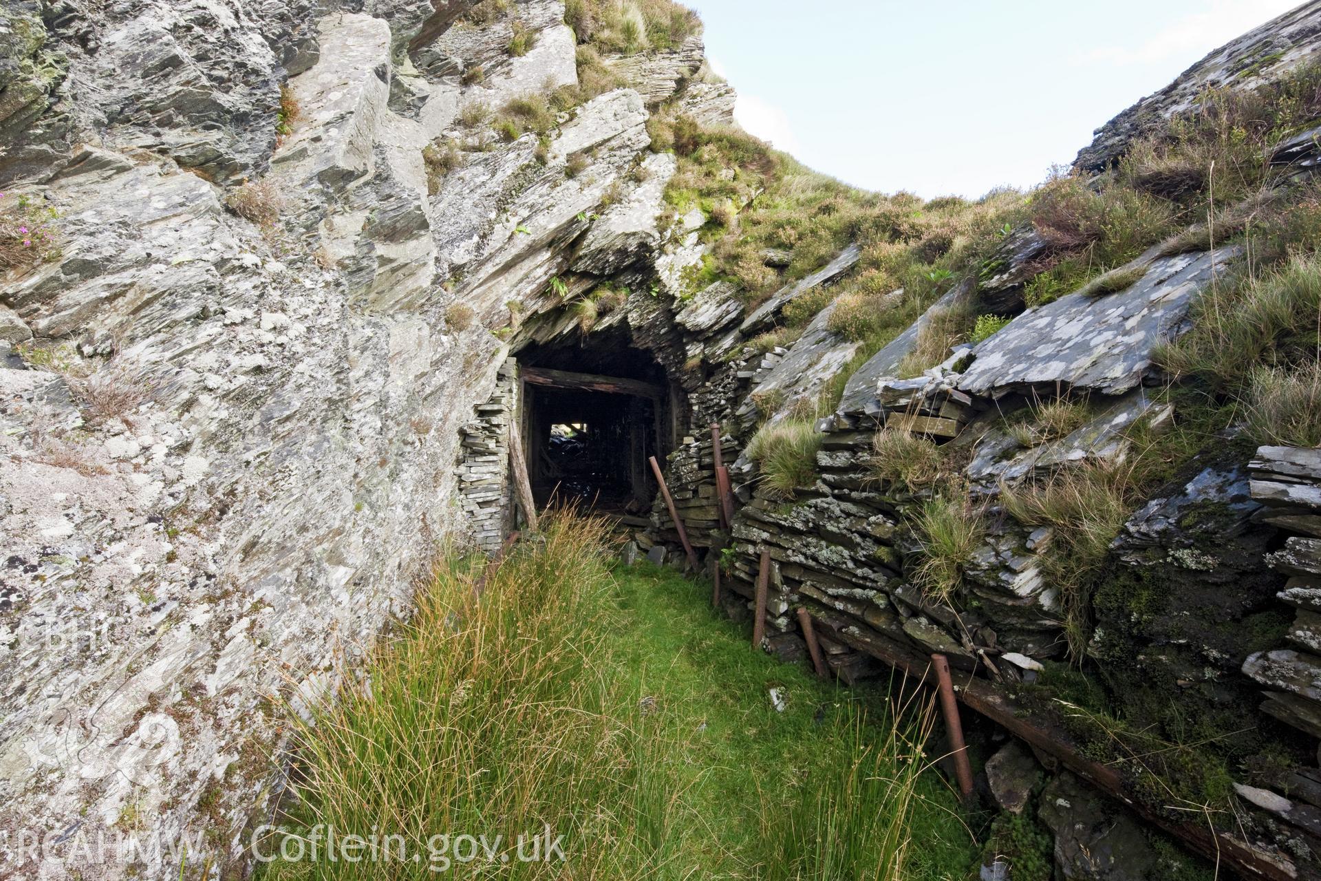 Long Tip Tramway tunnel from the west.