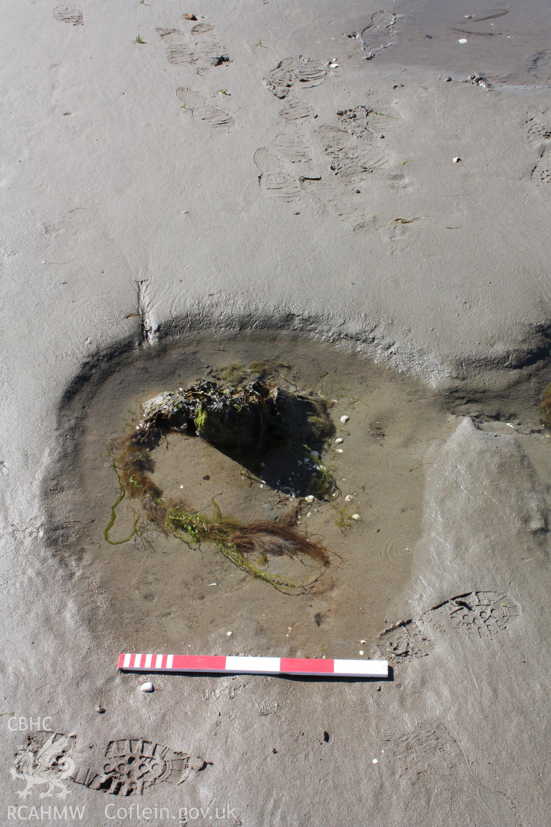 View of deck beams and ends of lodging knees from the interior of the wreck (photographer moving south to north).