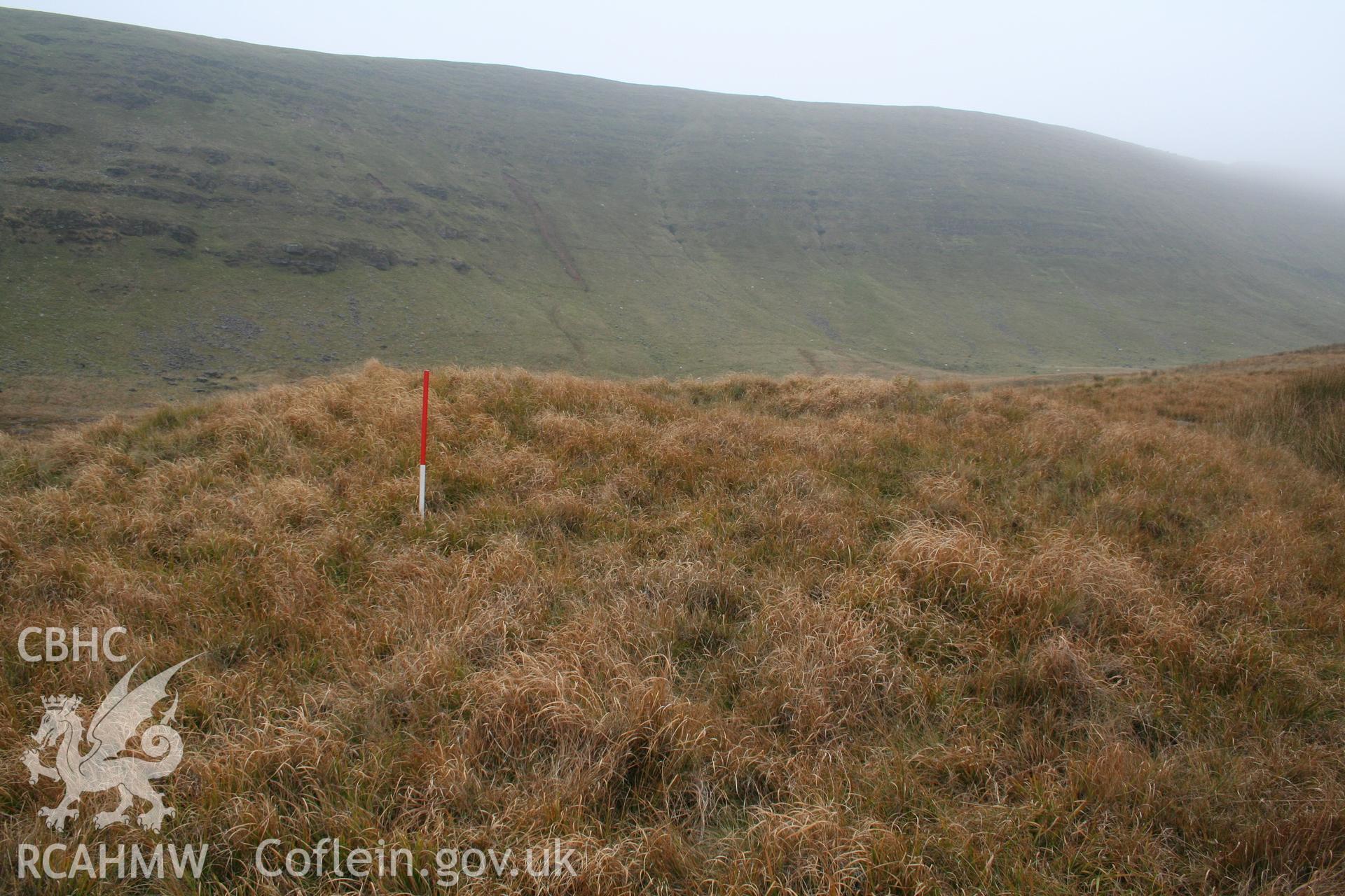 Mound seen from the east showing central indentation facing stream course; 1m scale.