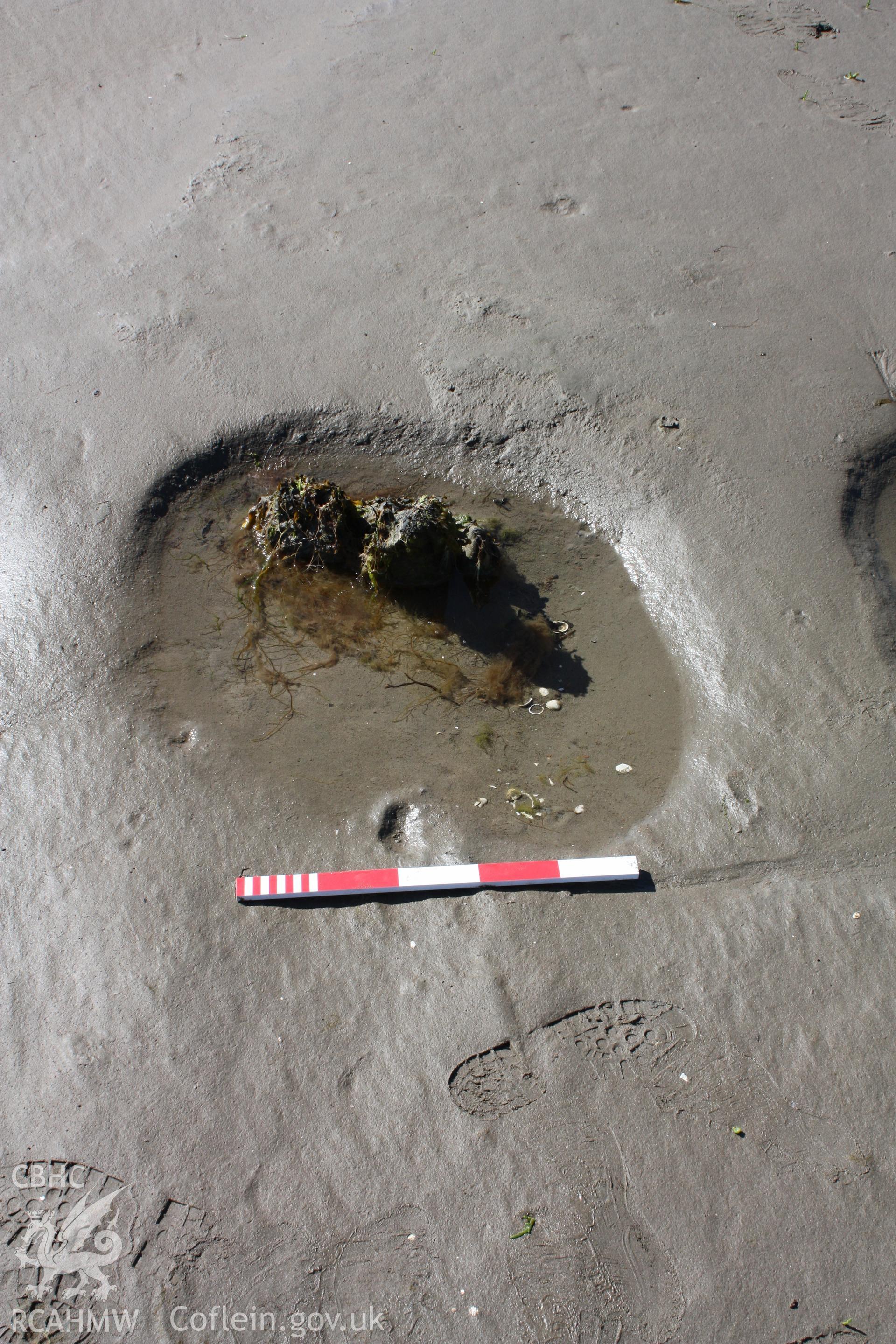 View of deck beams and ends of lodging knees from the interior of the wreck (photographer moving south to north).
