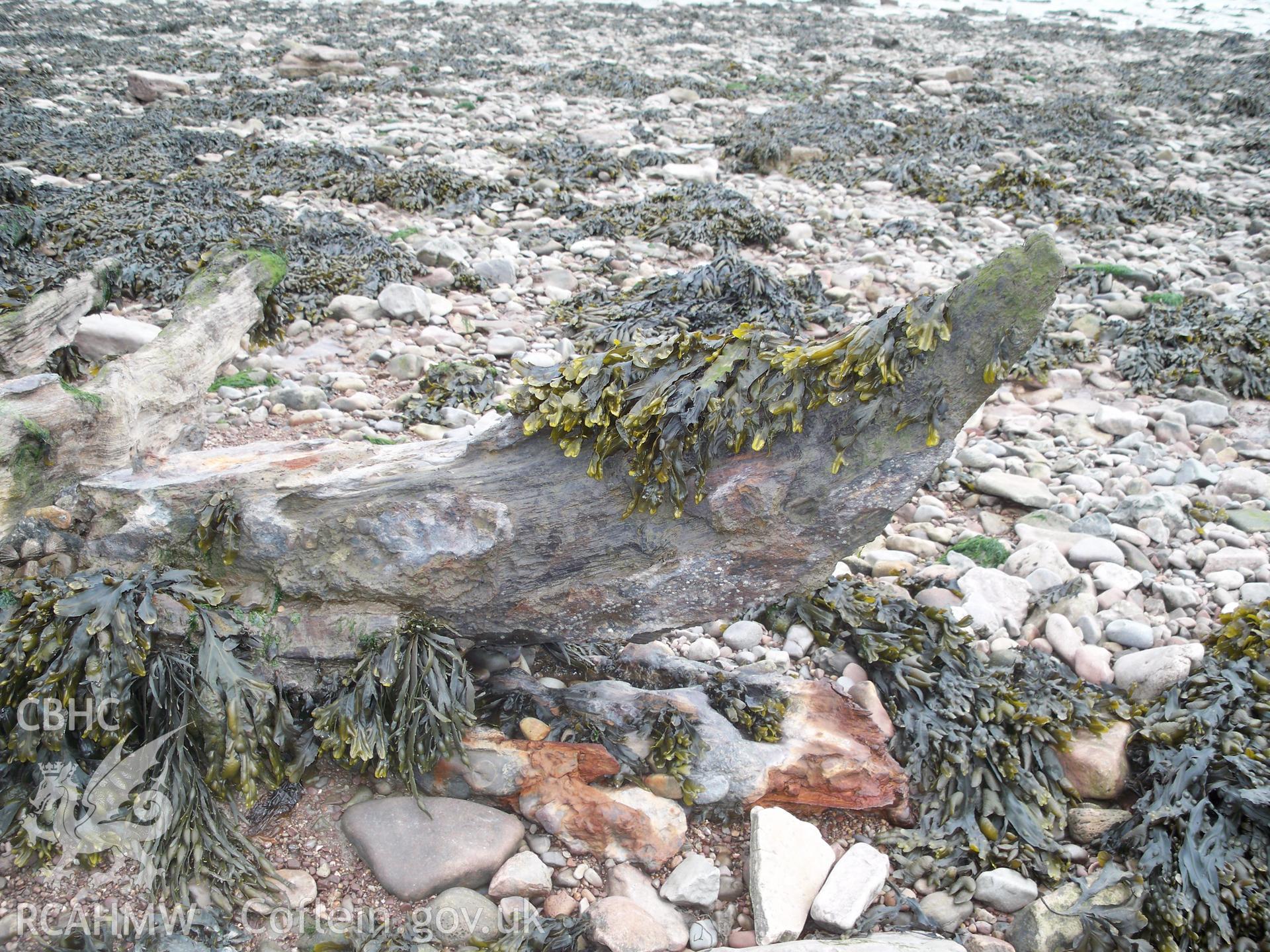 Curved forefoot of the inner stempost - outer stempost missing as evidence by the keel extending forward?