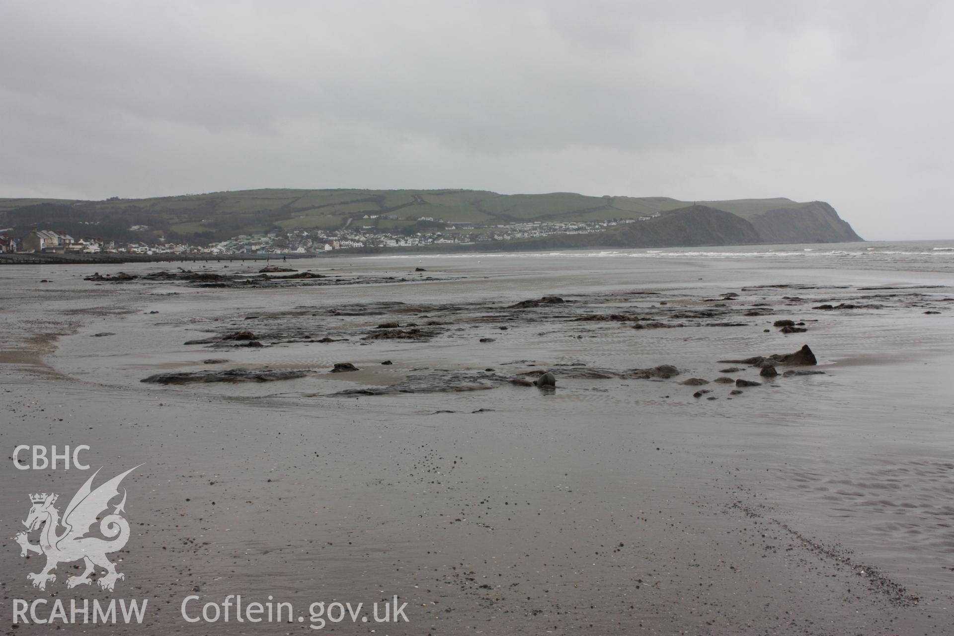 General view of peat and tree root exposures close to Borth Tourist Information Centre (looking northwards)