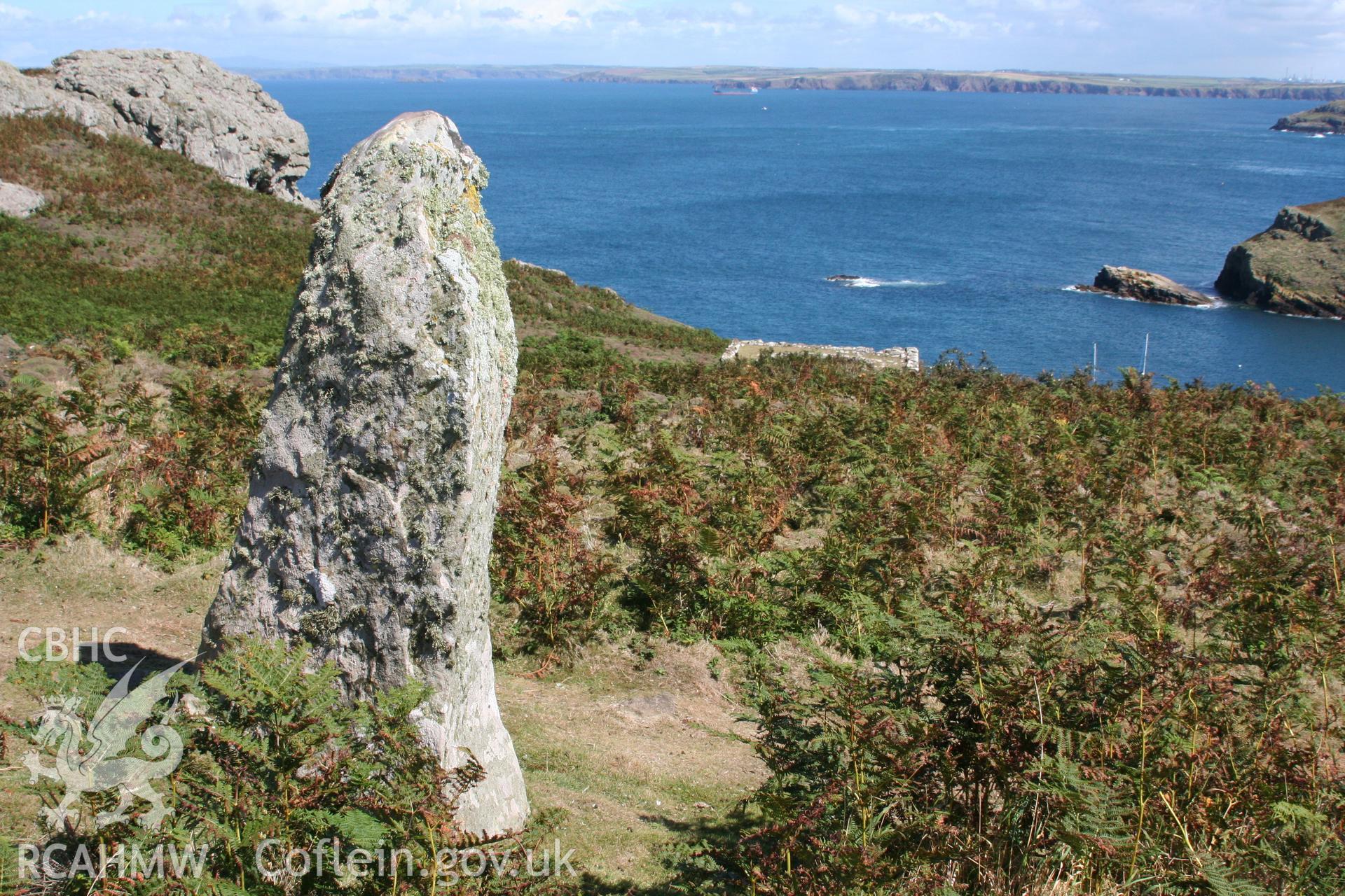 Harold stone standing stone, view from west.