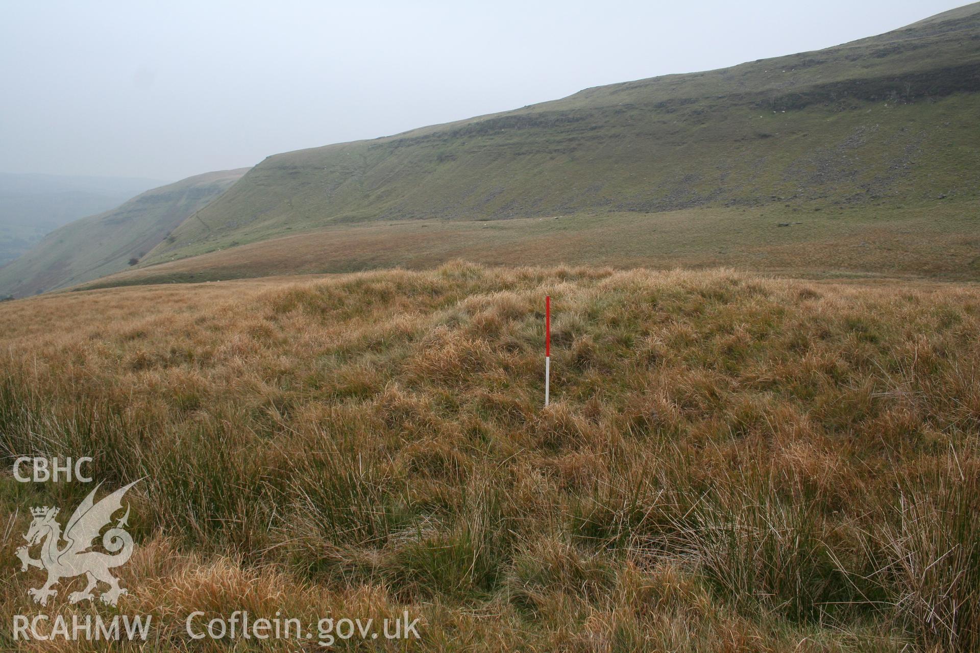 Mound seen from the north with stream course marked by line of rushes in front; 1m scale.