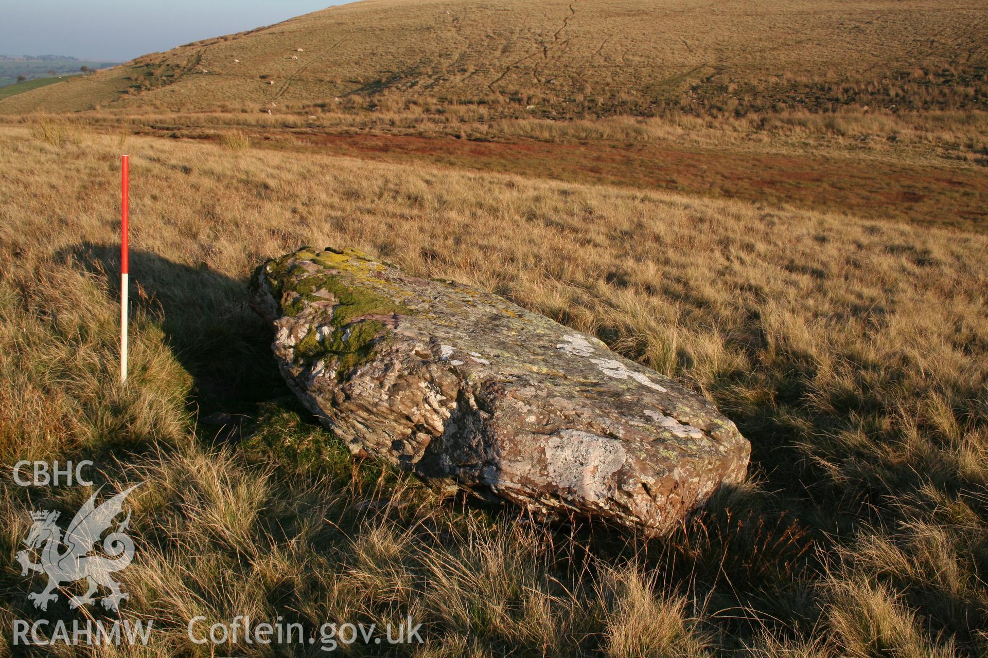 Stone seen from the south-west; 1m scale.
