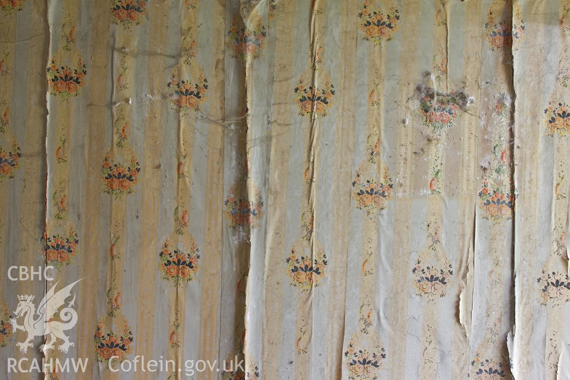 Detail of wallpaper.