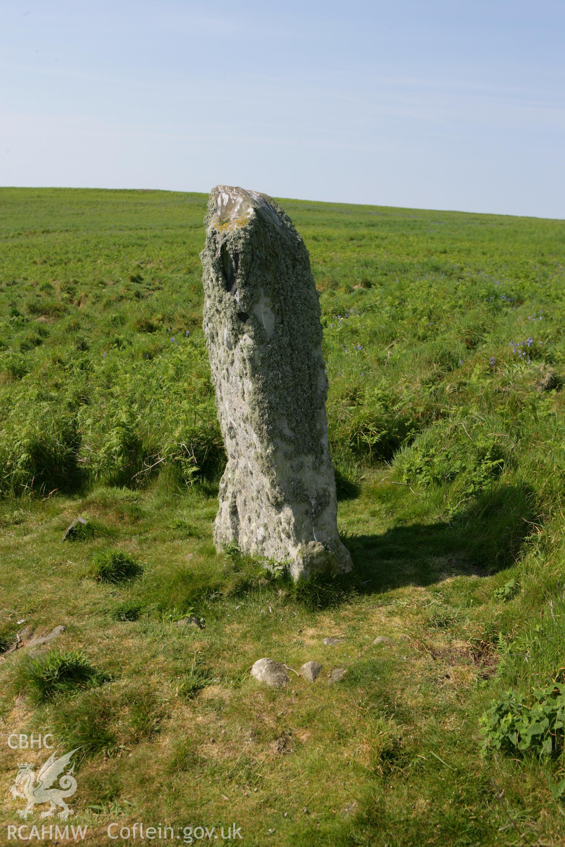 Harold stone standing stone, view from north-east.