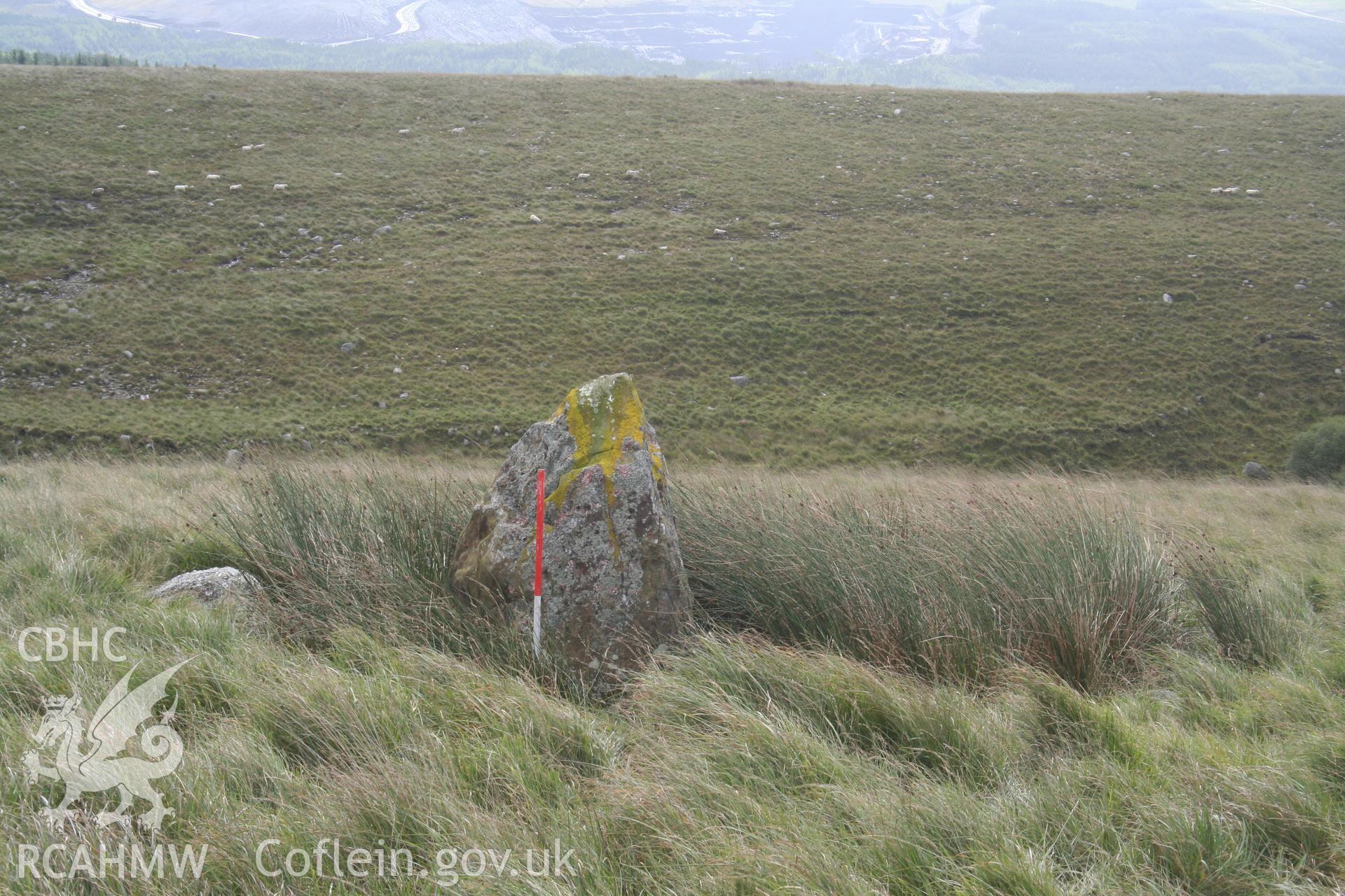 Stone viewed from the north-west; 1m scale.