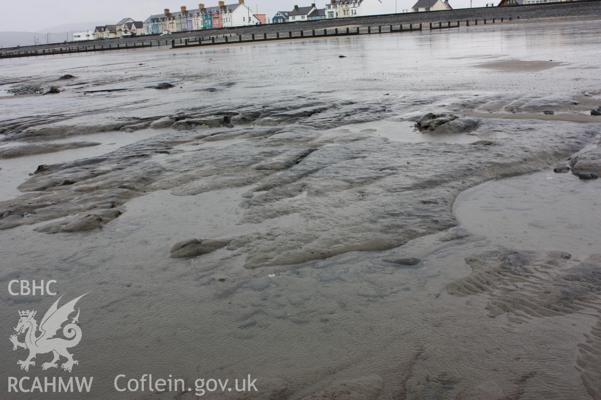 Peat exposures close to the Tourist Information Centre at Borth