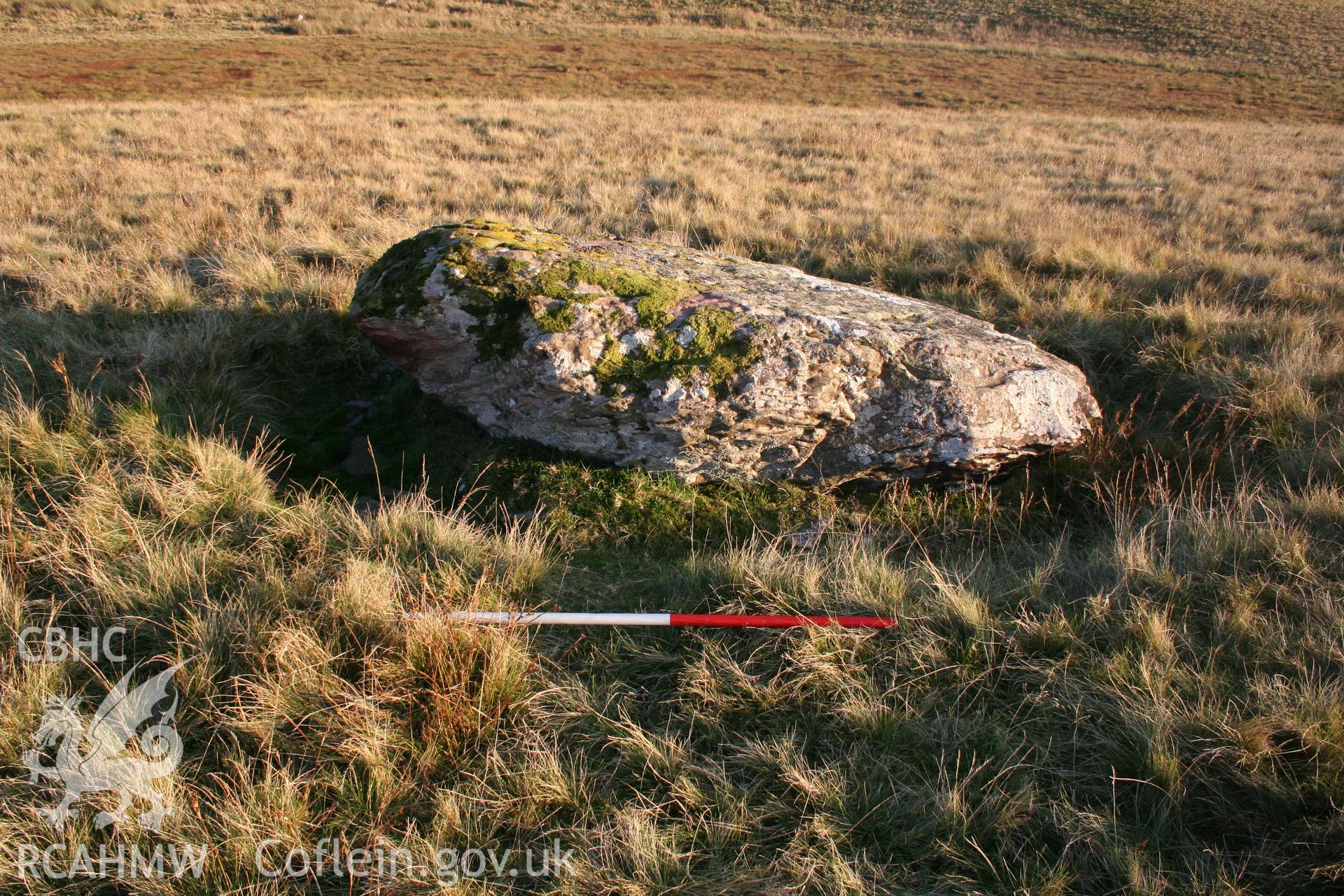 Stone seen from the west; 1m scale.