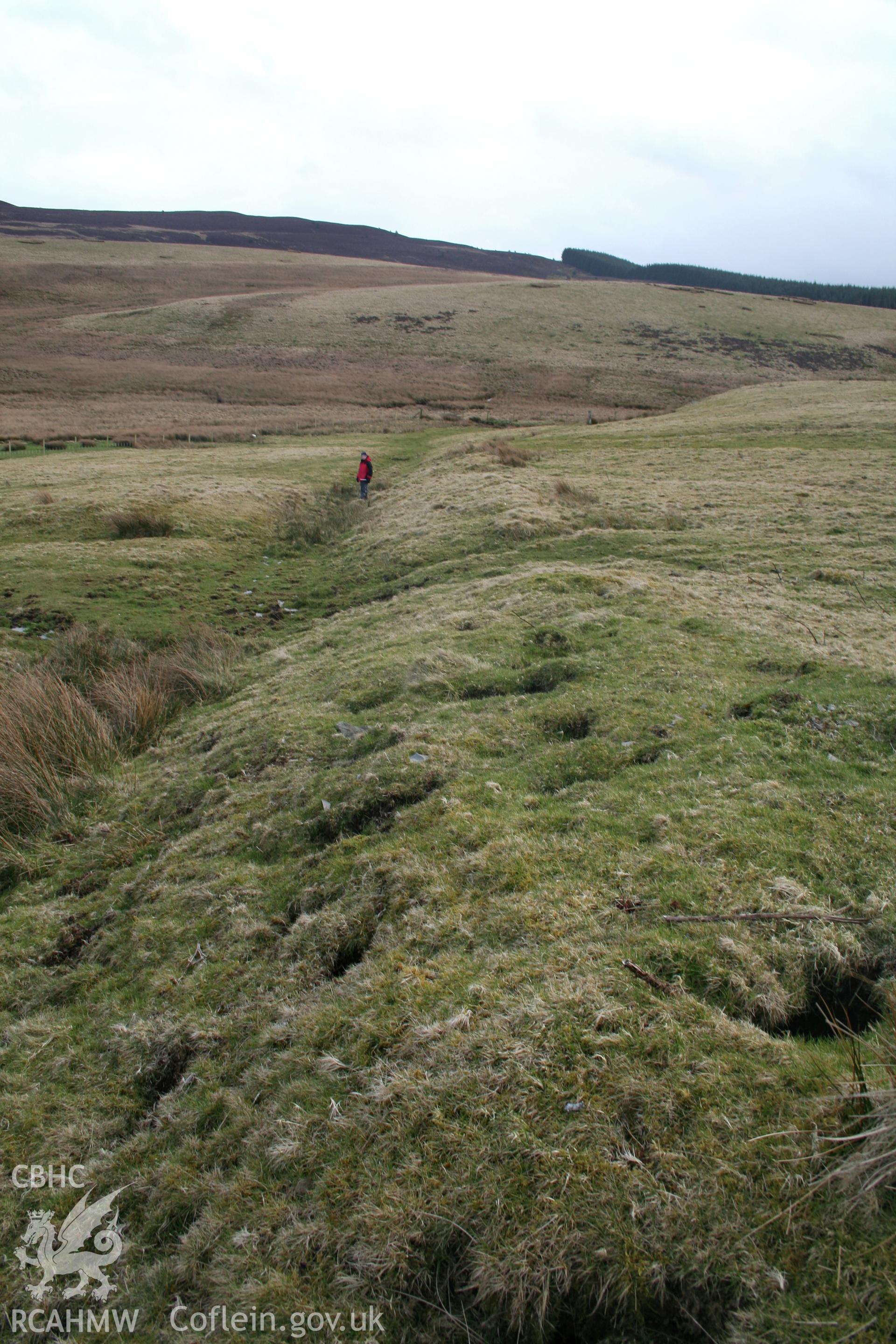 Looking south along the eastern edge of the enclosure bank and ditch.