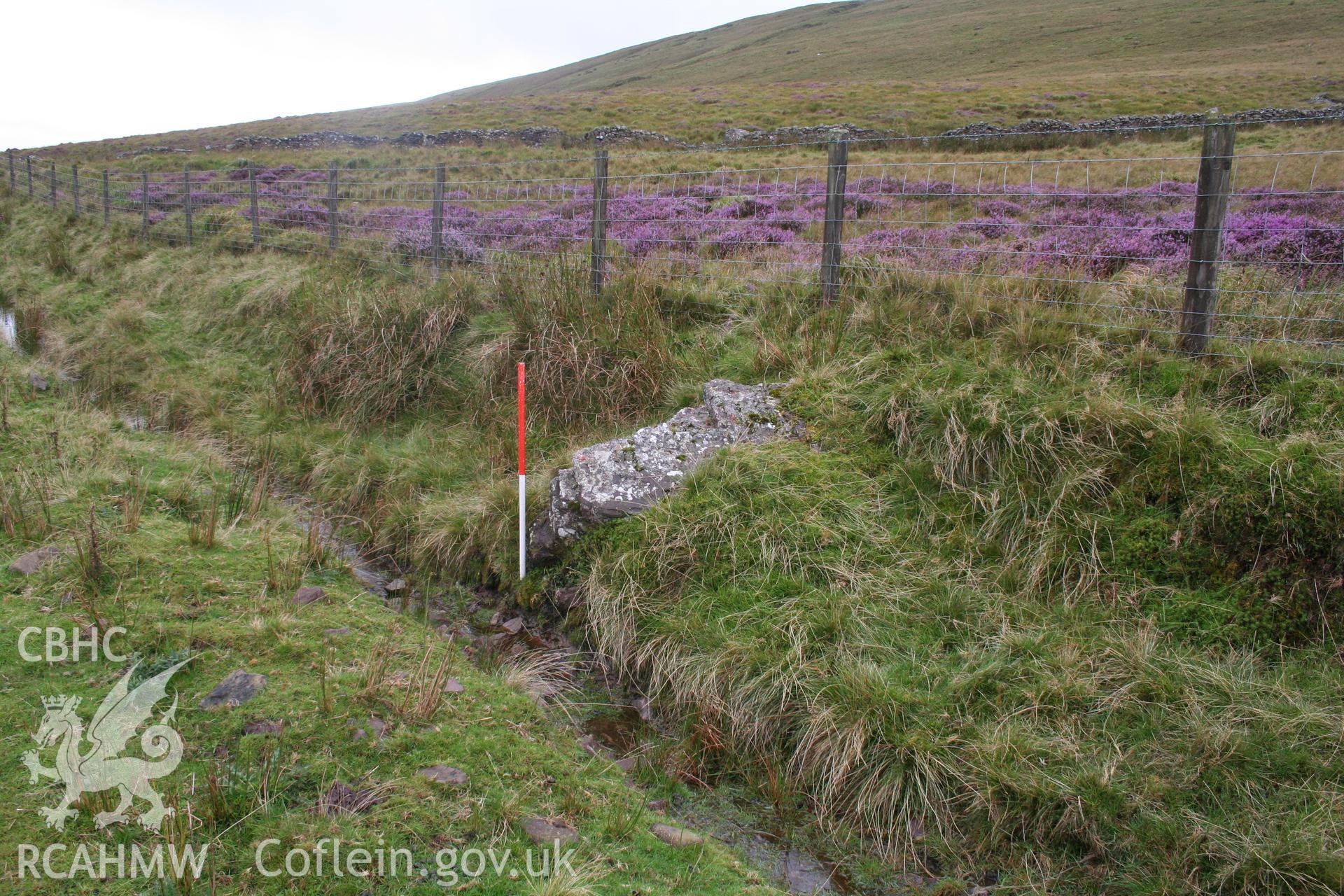 Stone viewed from the north-west; 1m scale.