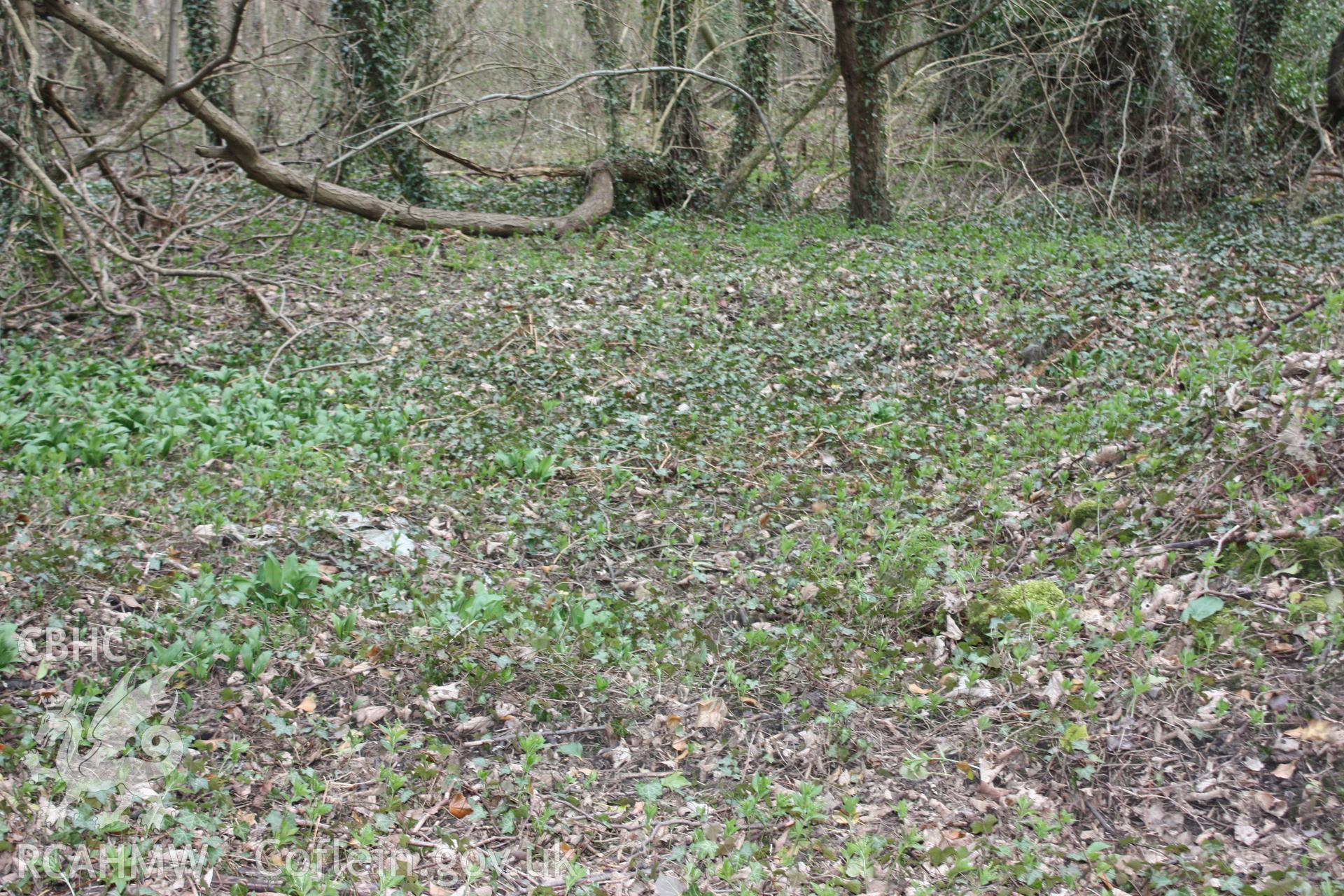 Large flat area at Tref-y-nant Fireclay Works, covered in remains of red floor tiles. Possible former floor surface.