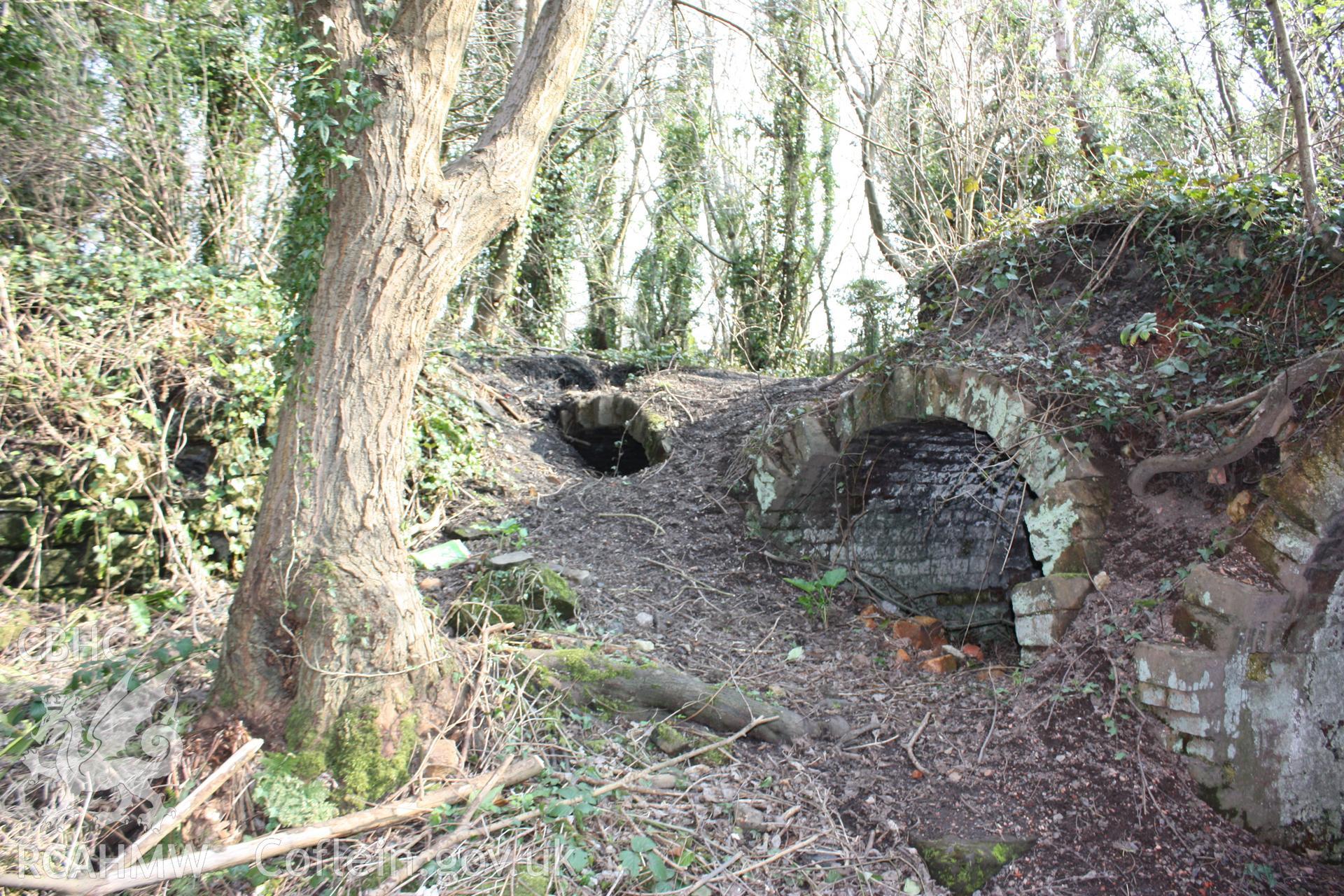 A view of three of the coke ovens in a bank of six associated with the New British Iron Company works, two of which are partially buried.