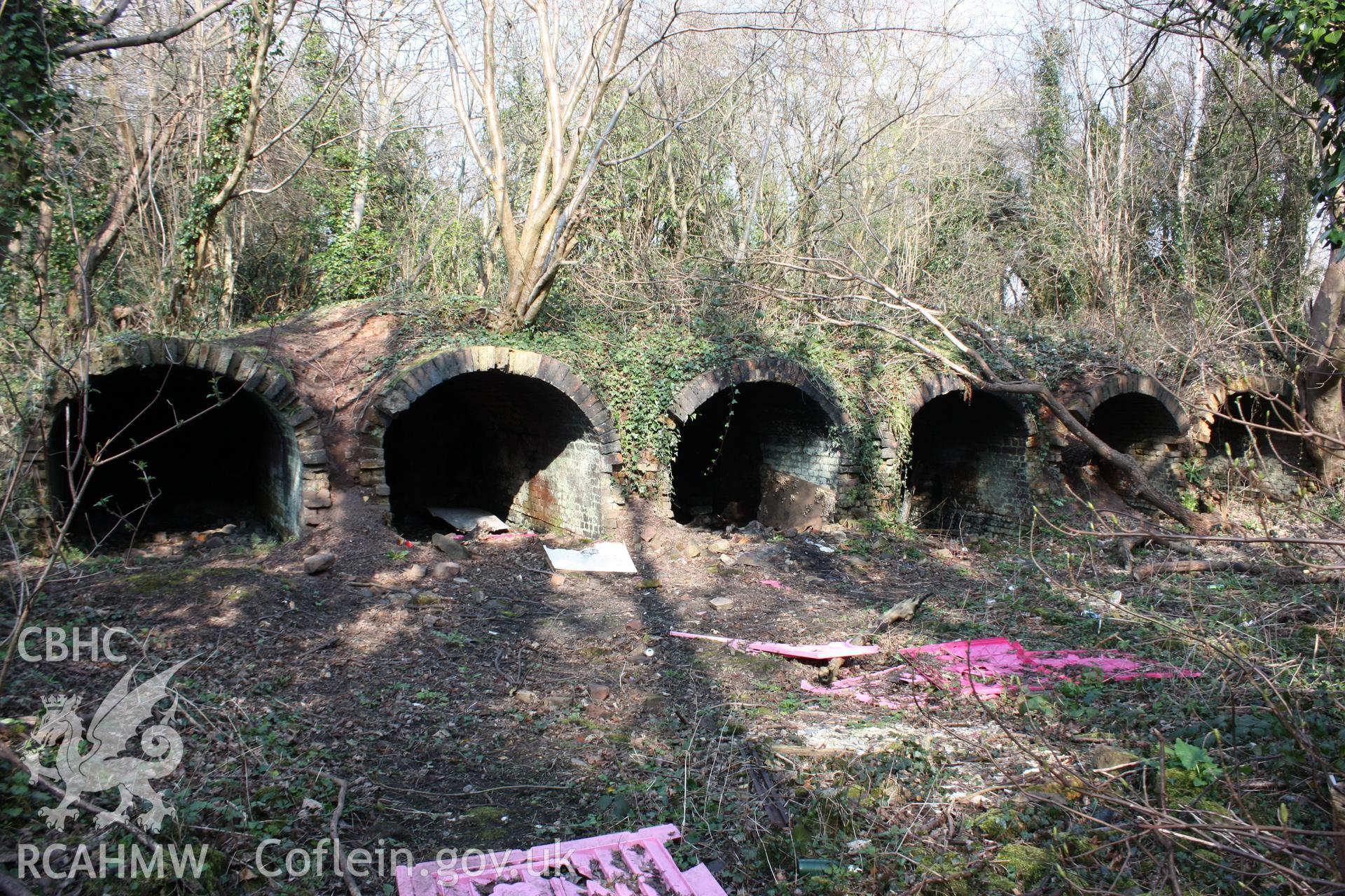 Looking noth, a view of six coke ovens on the former New British Iron Company works site. These mirror another set immediately to the north.
