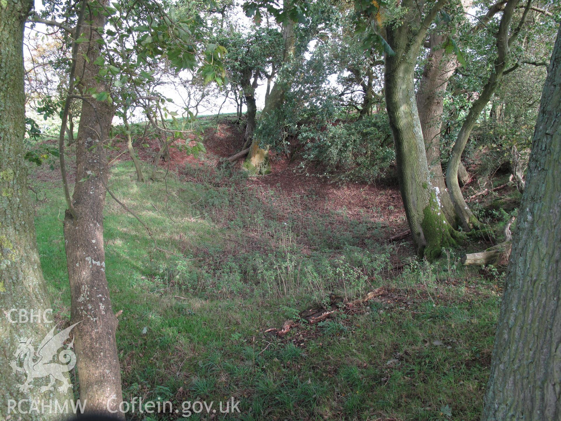 Quarry hollow at Craig-y-dorth from the north, taken by Brian Malaws on 26 September 2011.