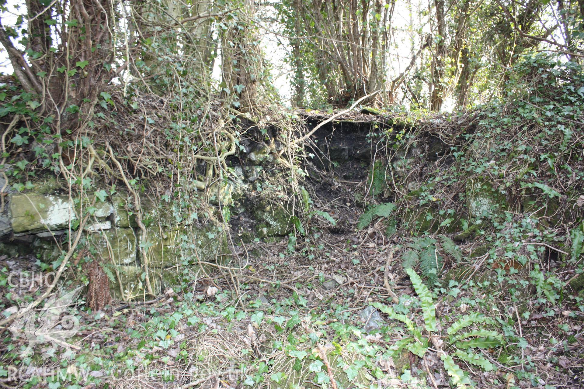 Partial remains of a stone built wall associated with the coke kilns.