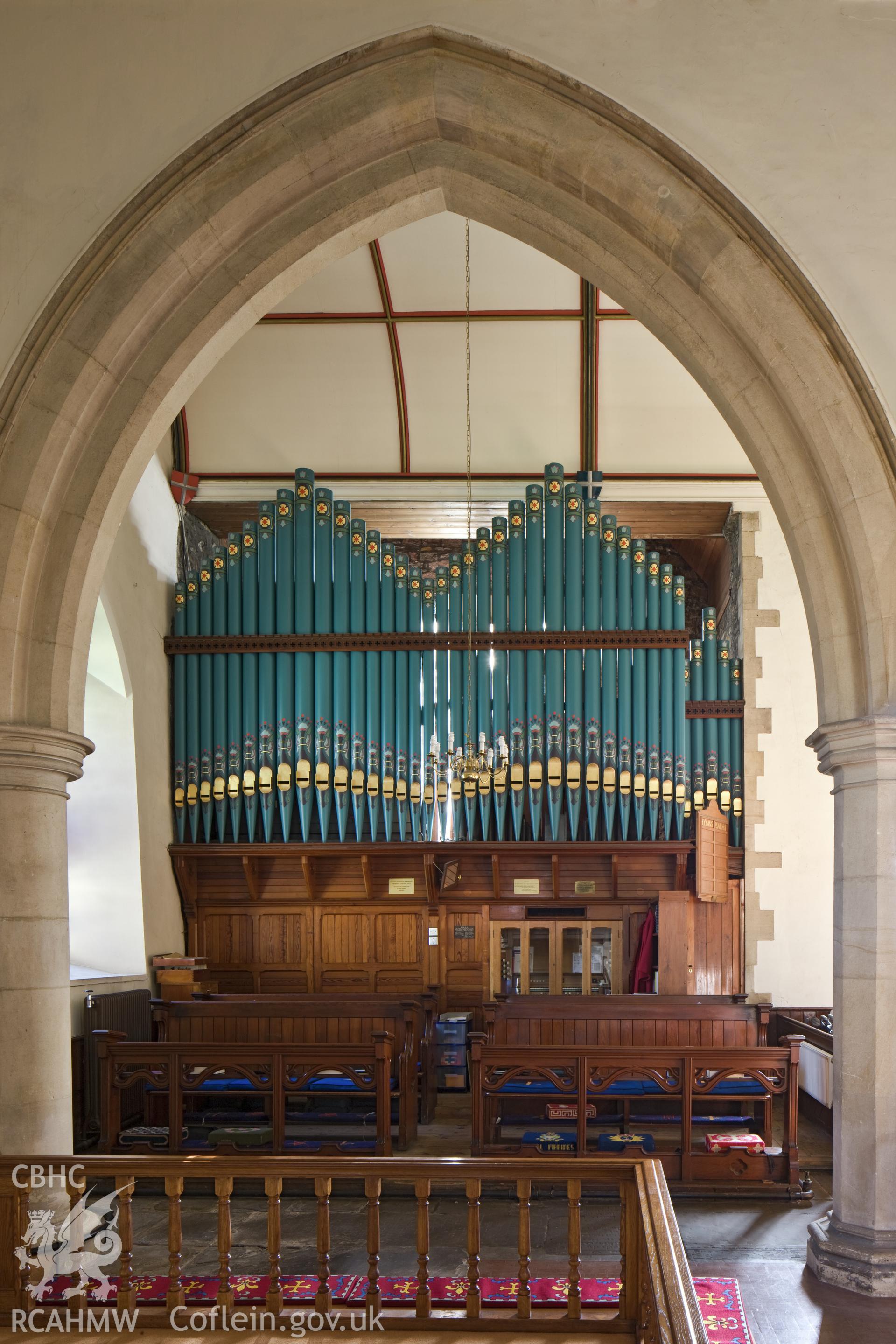 The organ