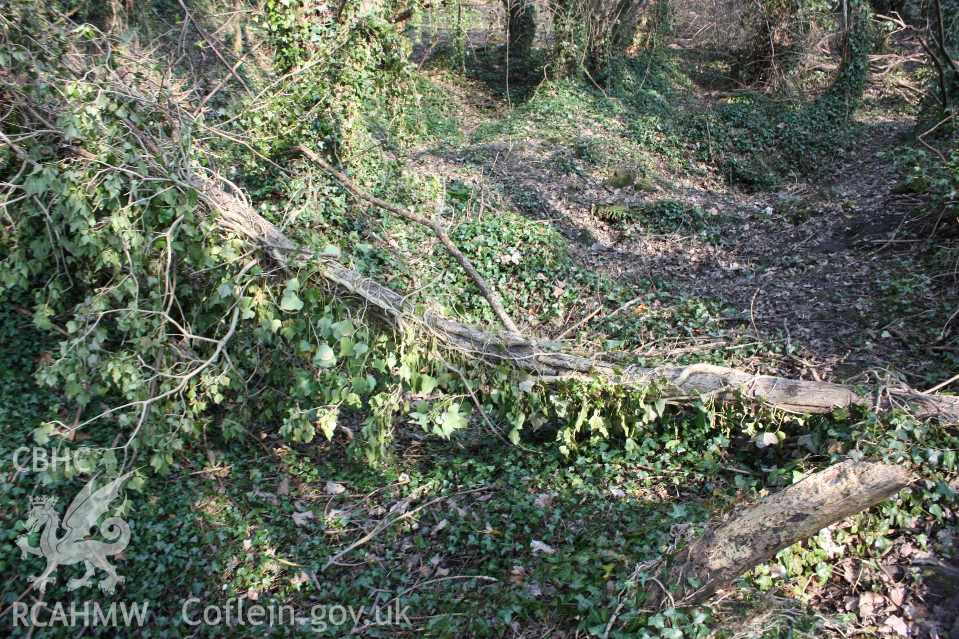 Six depressions in the woodland floor, approx. 1.5m in diameter each, on an approx. north-west/south-east alignment. The 1st edition OS map of 1877 shows five banks of coke ovens on this site.