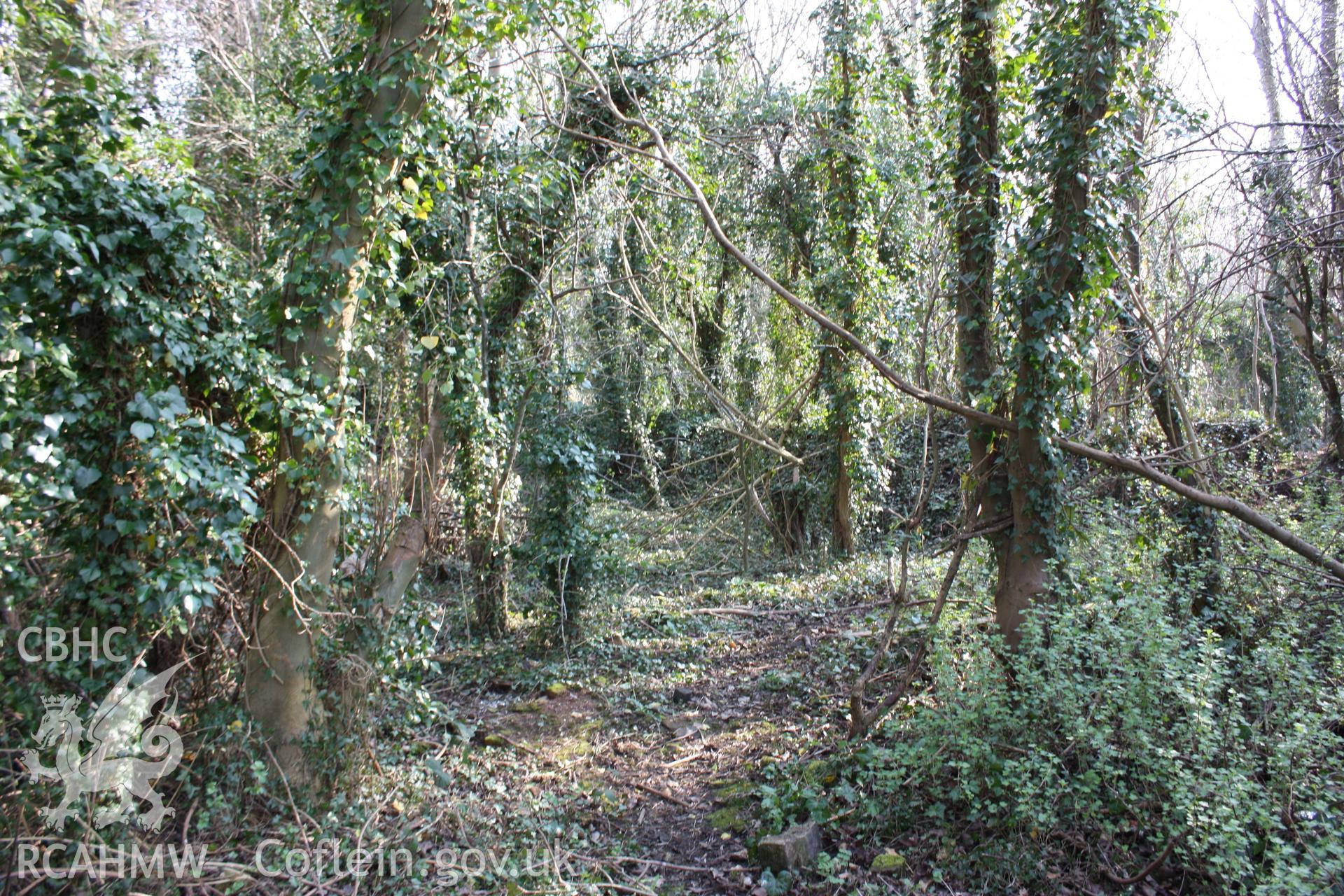 Wall lines associated with two banks of coke kilns at the former New British Iron Company works site.