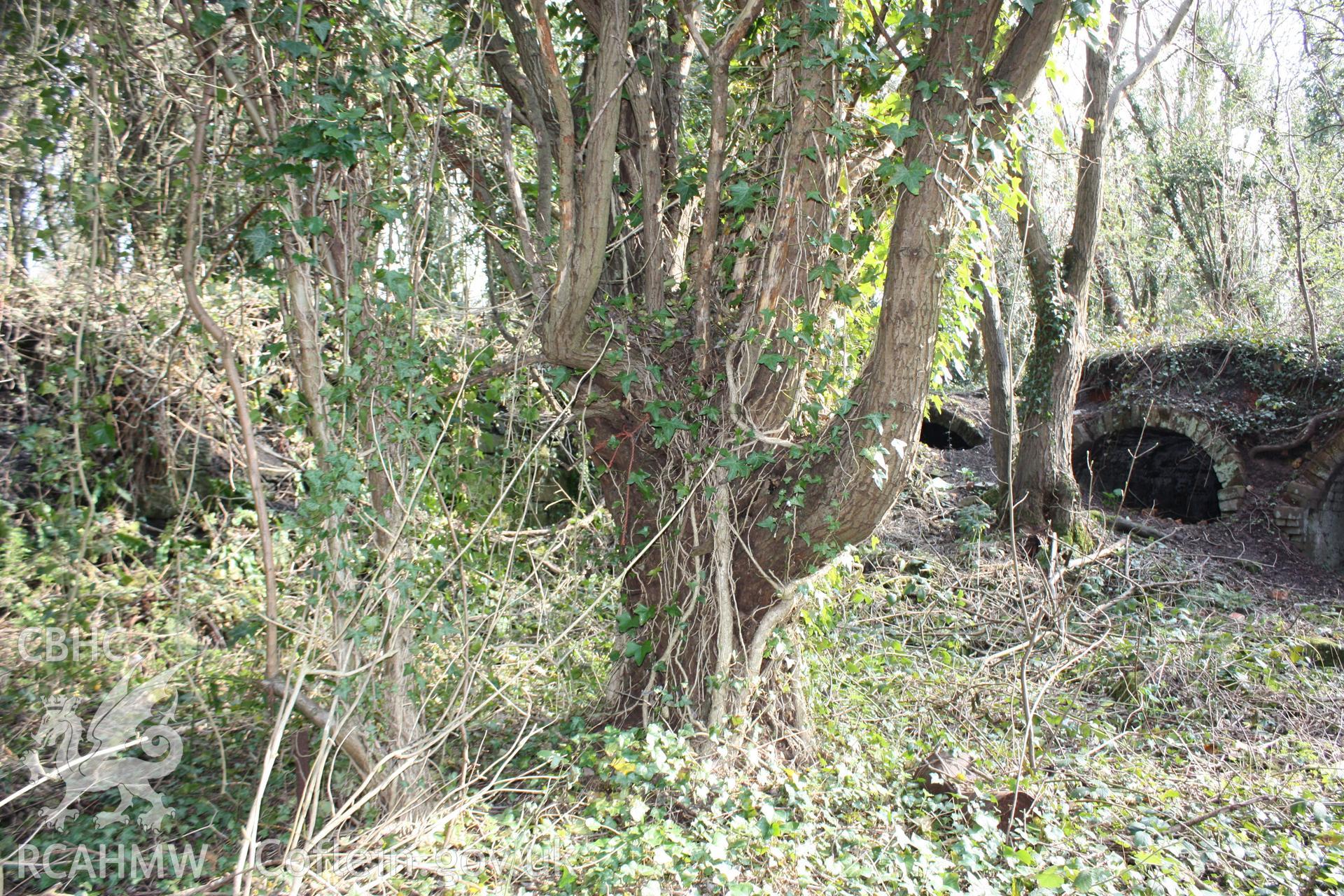 A view of a partially buried arch in a bank of six coke ovens, with possible associated walls to the left.