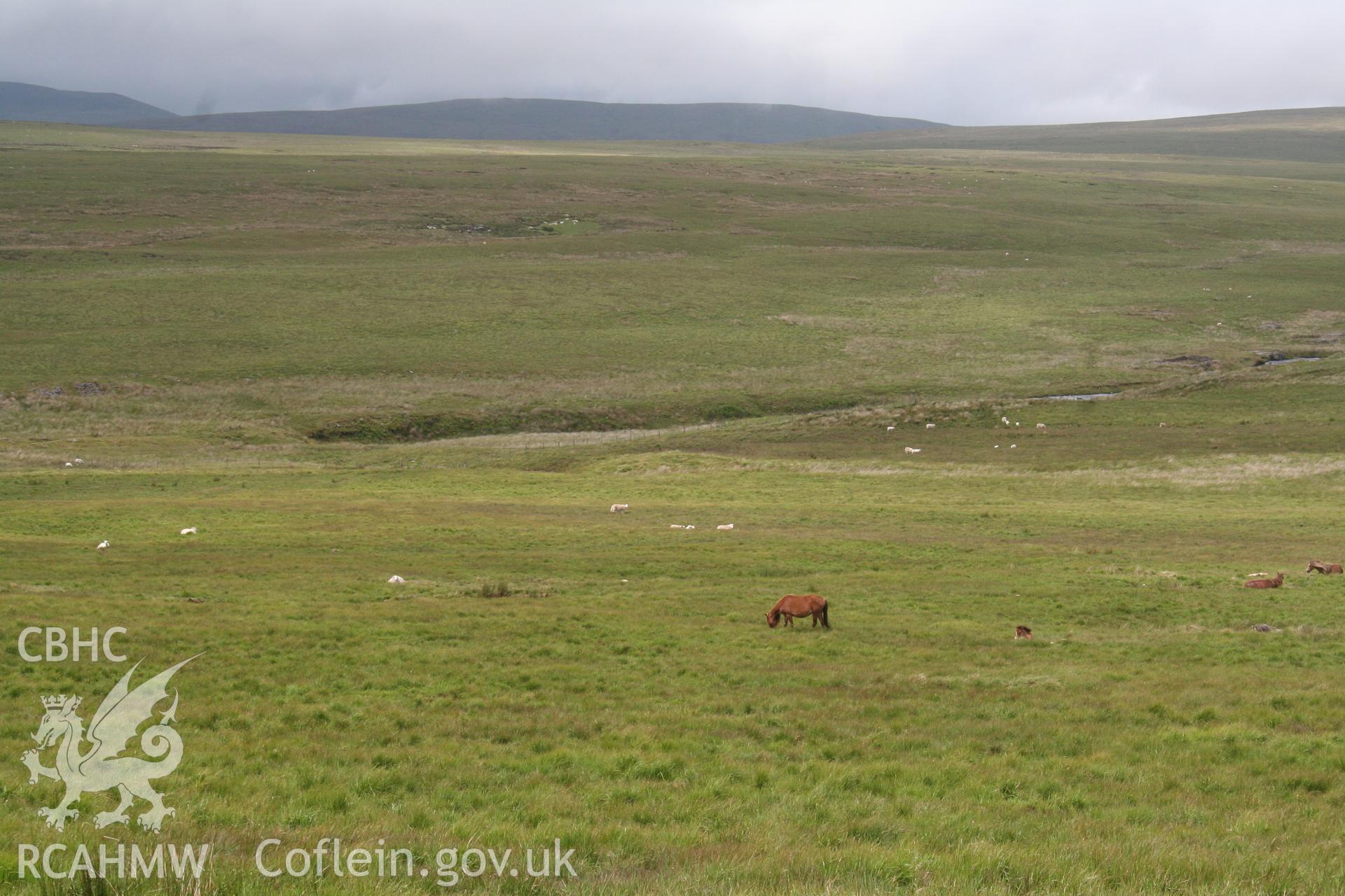 Distant view of mound from the north-east, at centre of picture.
