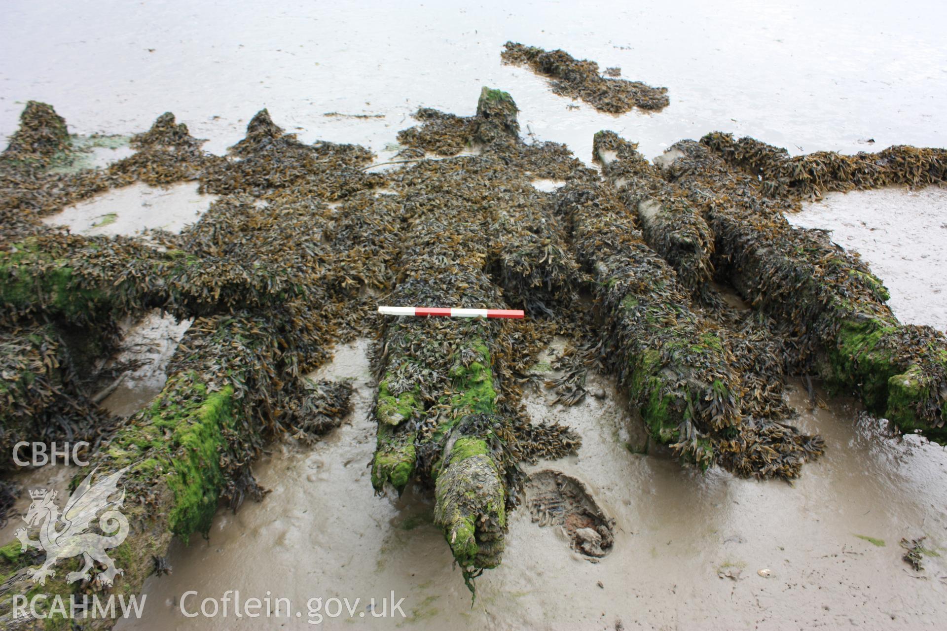 Floor spacings (from stern - floors 8-10  starboard side) centre to centre measurment taken as an indicative scantling for recording form (with photoscale)