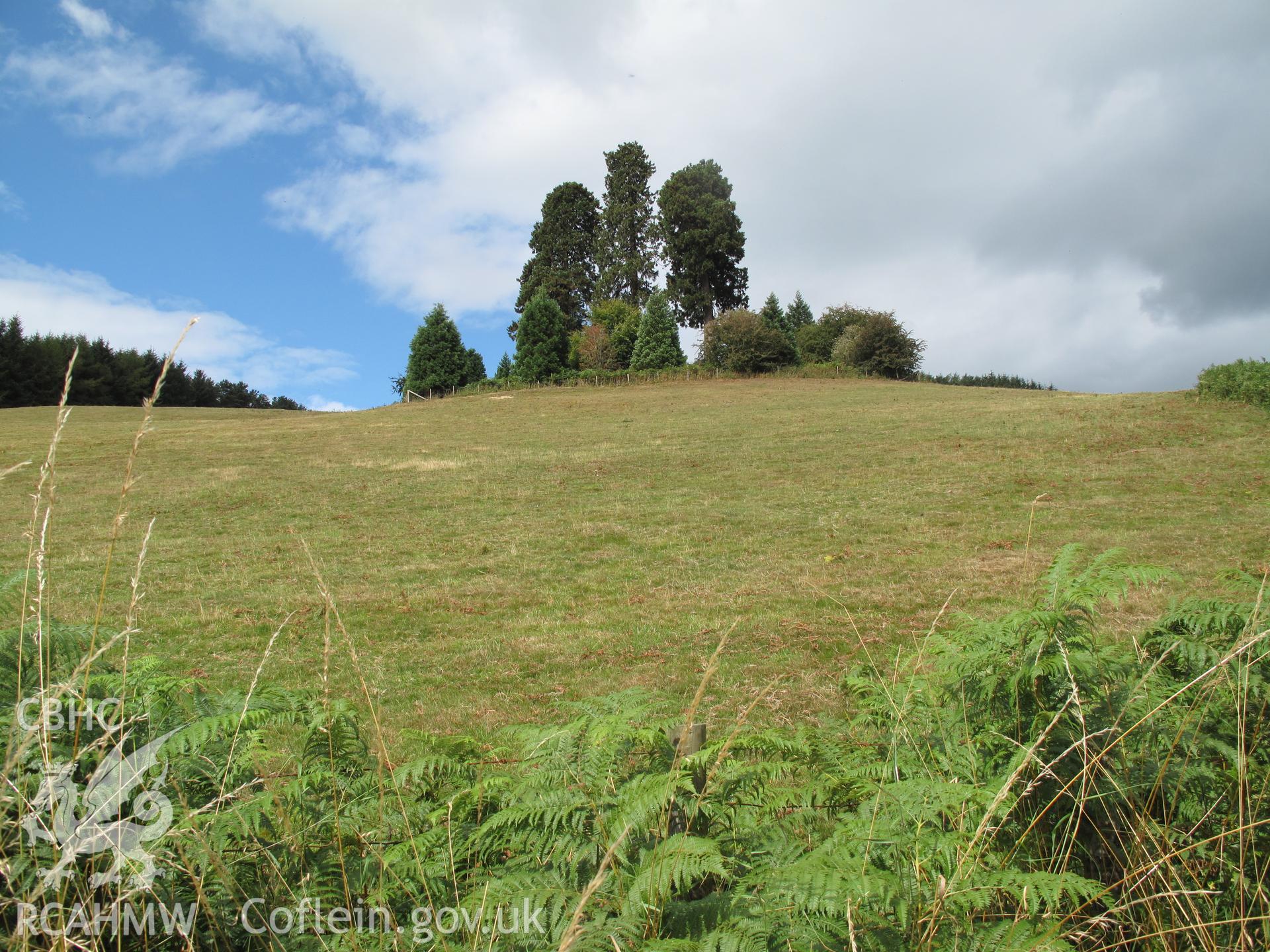 Bryn Glas, Pilleth Battle Site, from the east, taken by Brian Malaws on 24 August 2011.