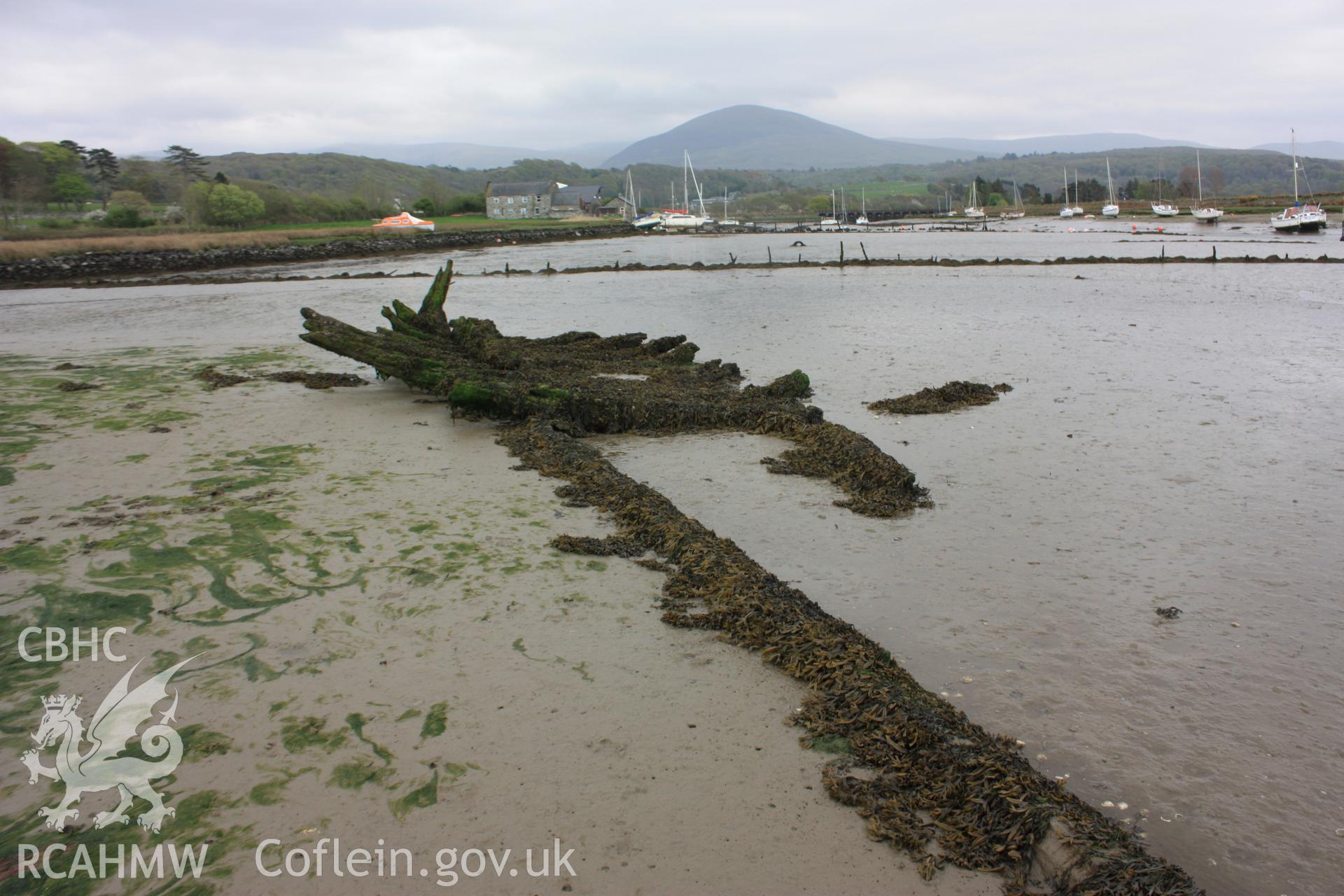 Keel and surviving floors insitu viewed from the bow to the stern (west to east)