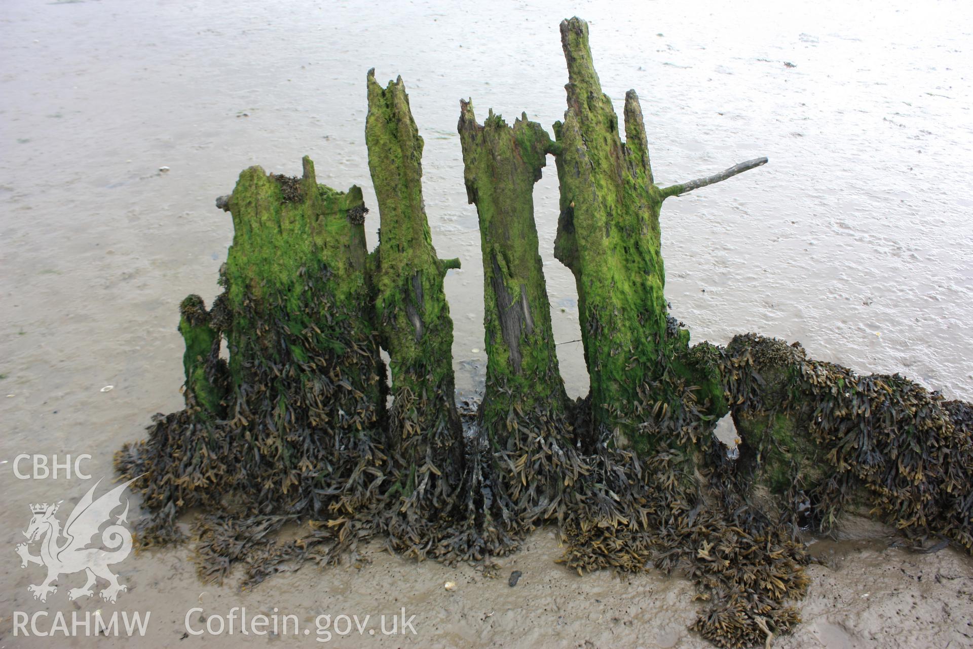 Remains of deadwood and rudder post from starboard (north) side