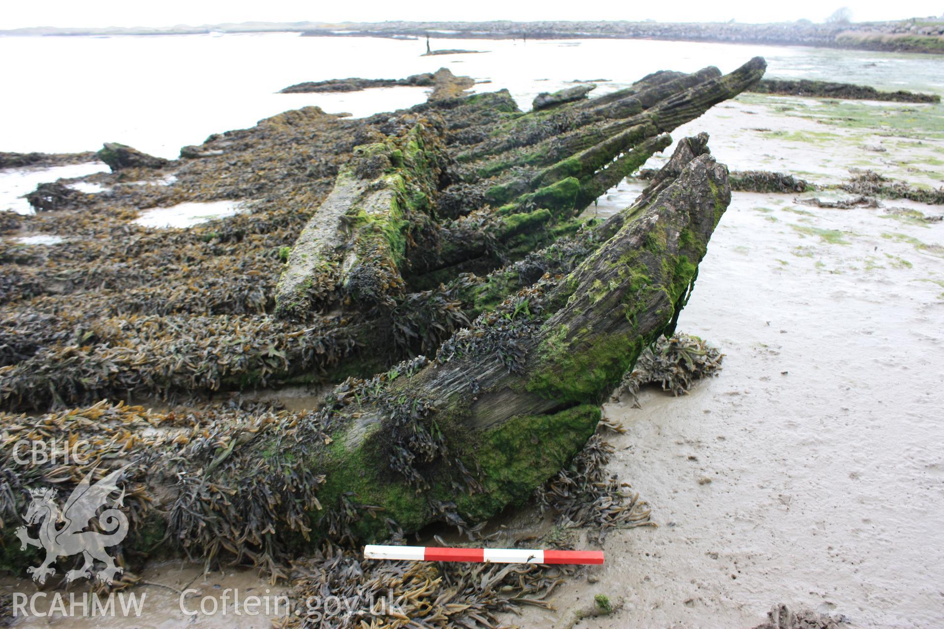 Profile of floor timber (no 1 starboard side) with photoscale