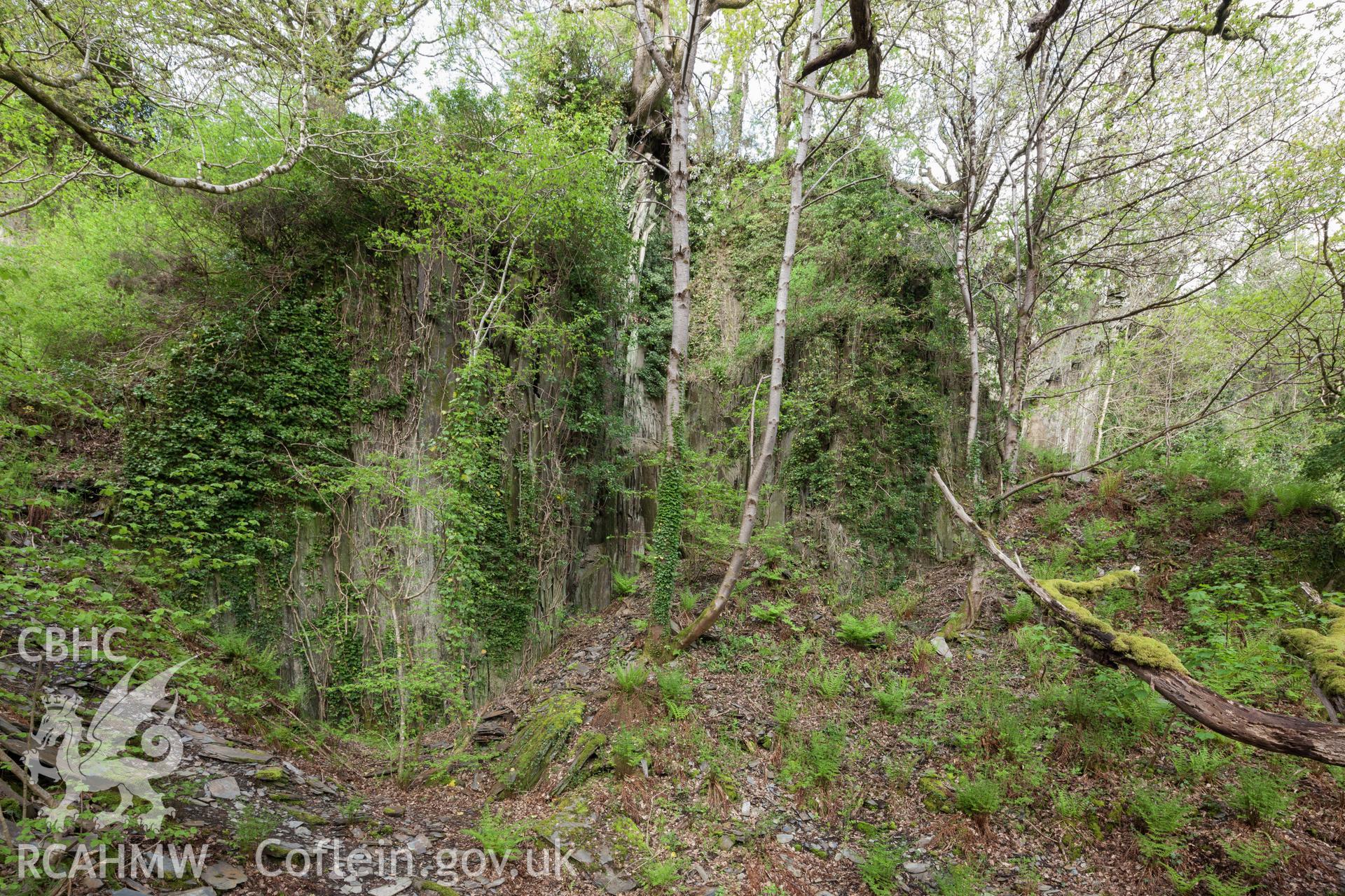 Quarry face viewed from the east