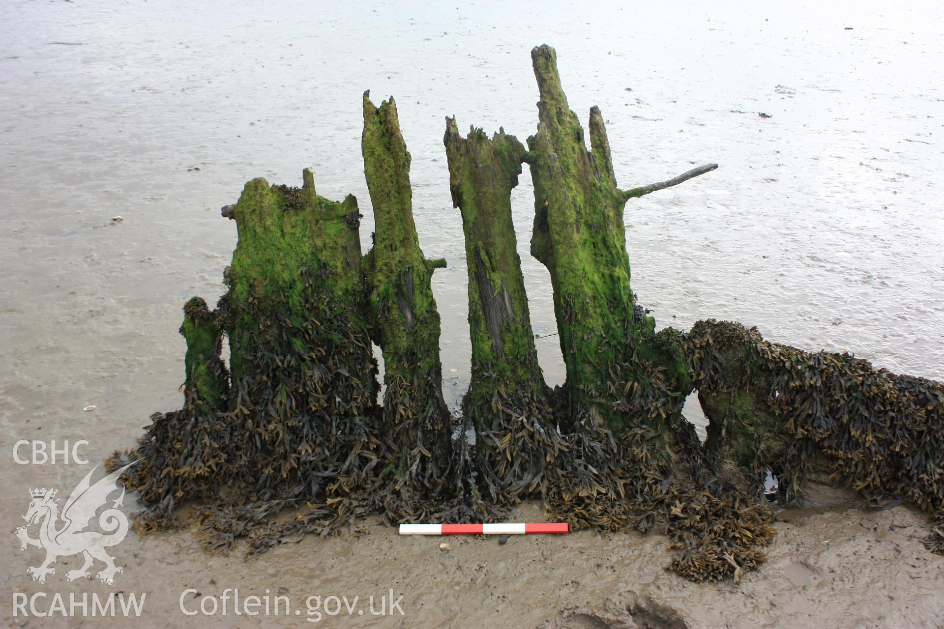 Rudder, sternpost and deadwood viewed from starboard (north side)(with photoscale)