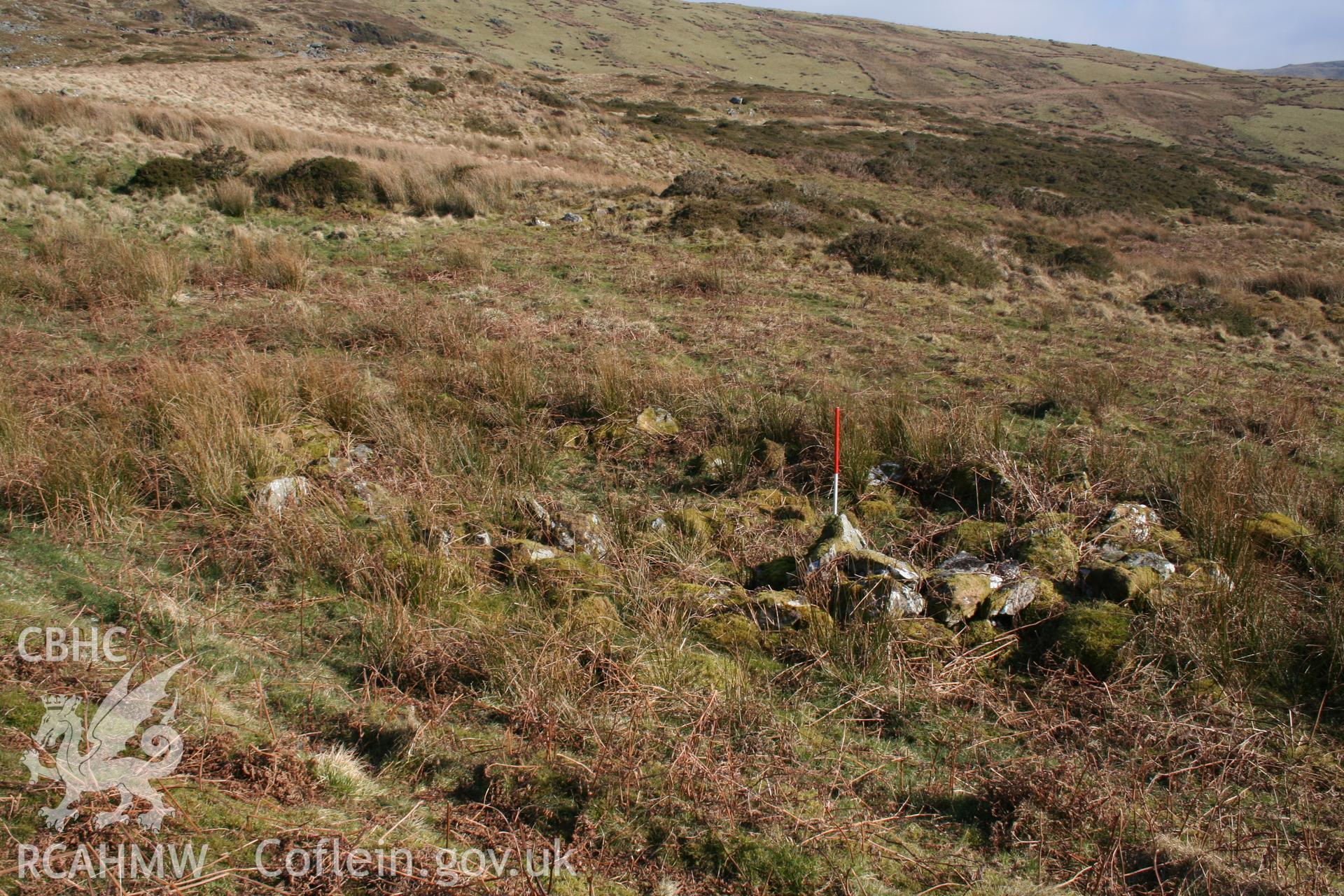 View from the west; 1m scale at south-west end.