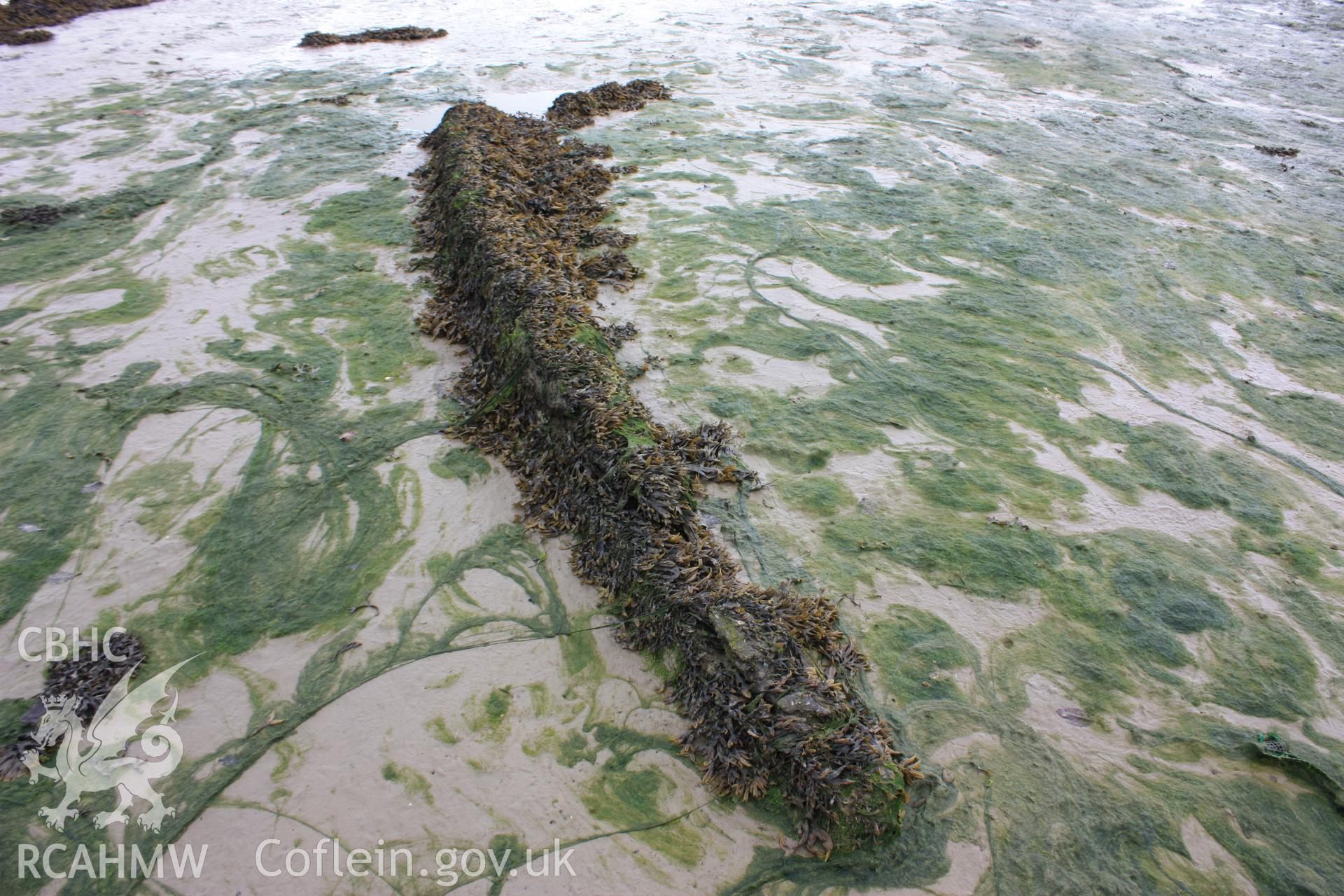 Disassocaited timber (deck beam?) lying to the north side of the wreck