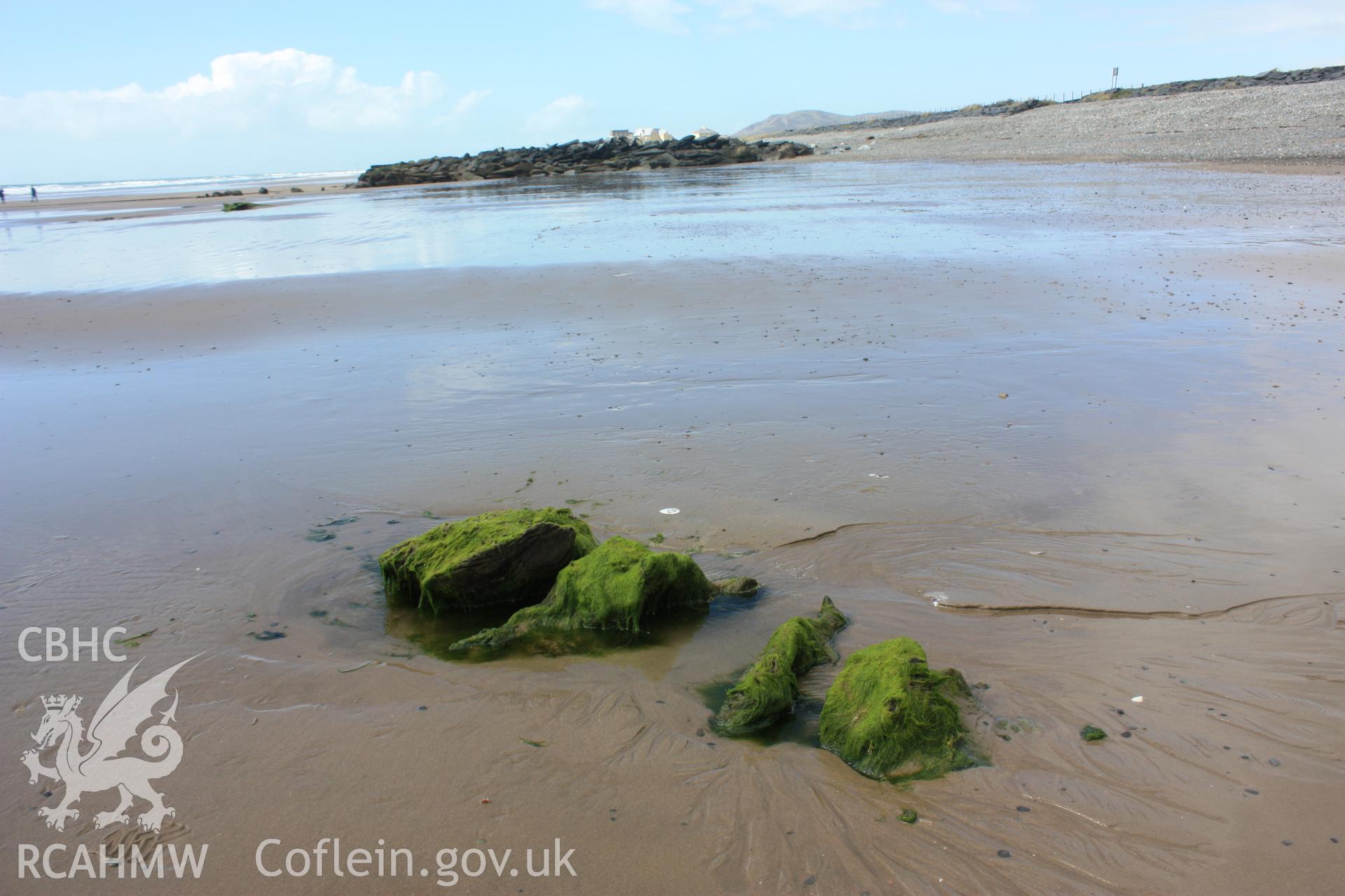 Looking north towards outfall and Tywyn Promenade - example of isolated tree root system exposed by beach lowering